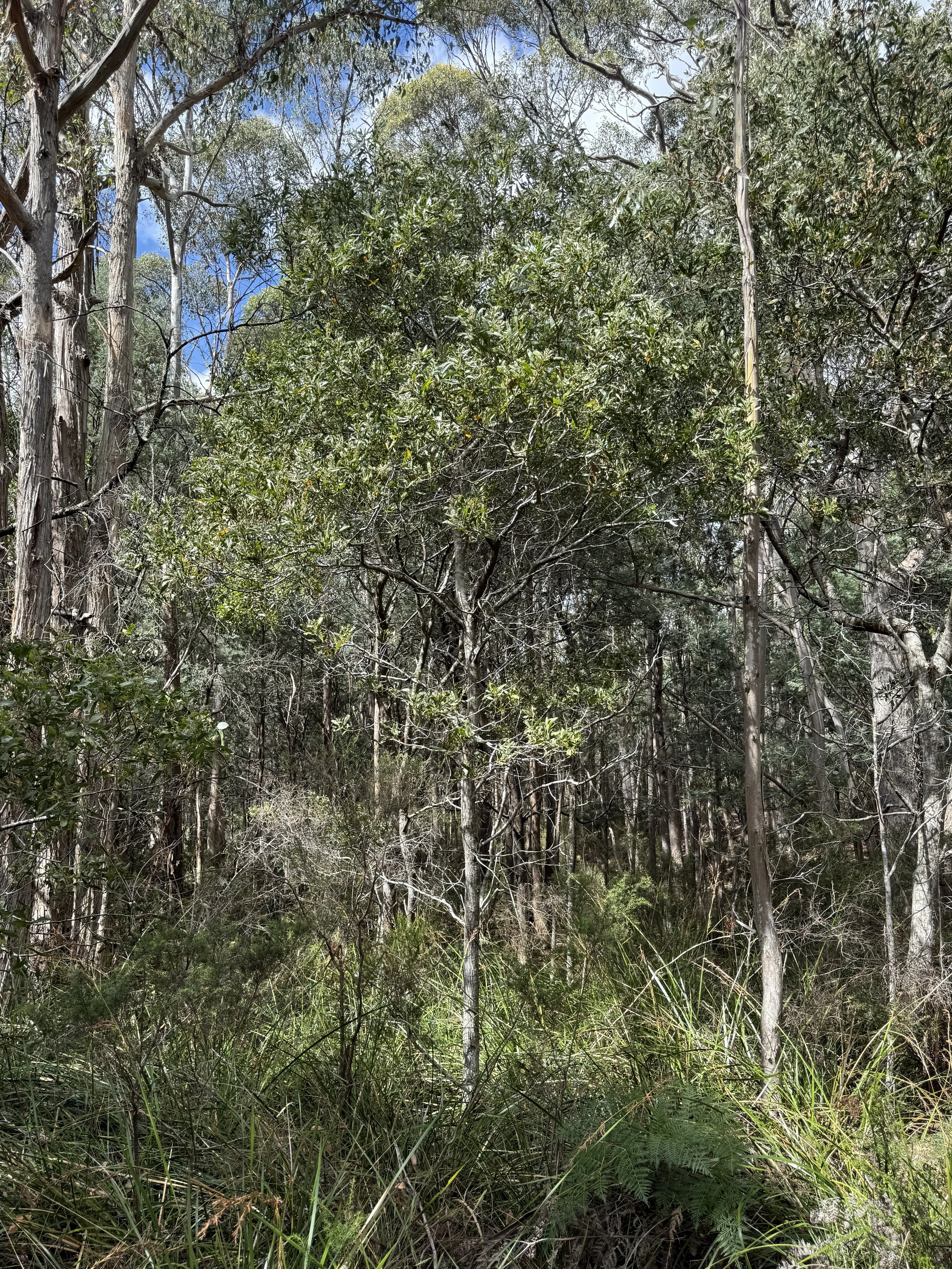 2026-02-28 14.30.36.jpg