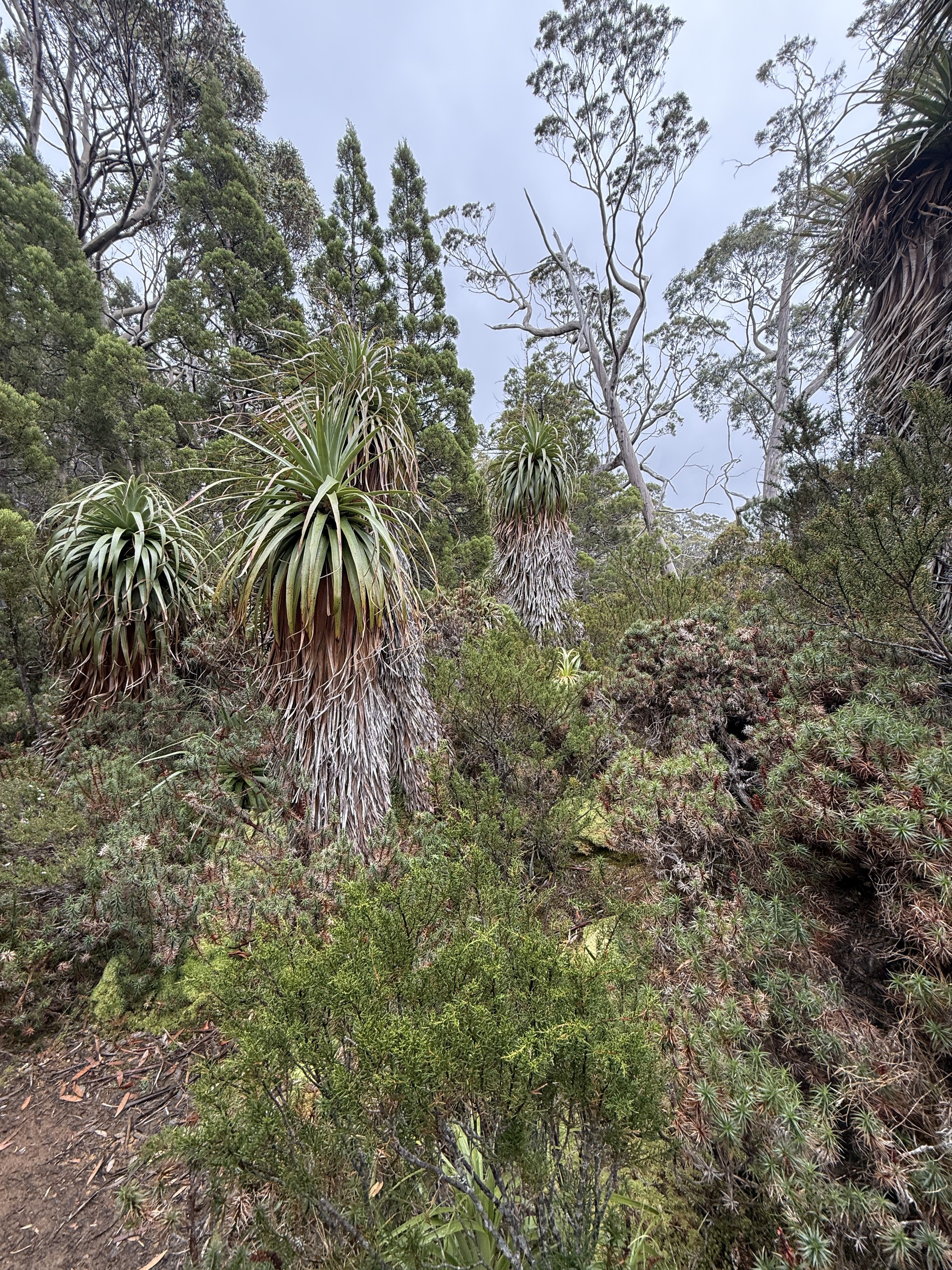 2026-02-22 13.54.09-1.jpg