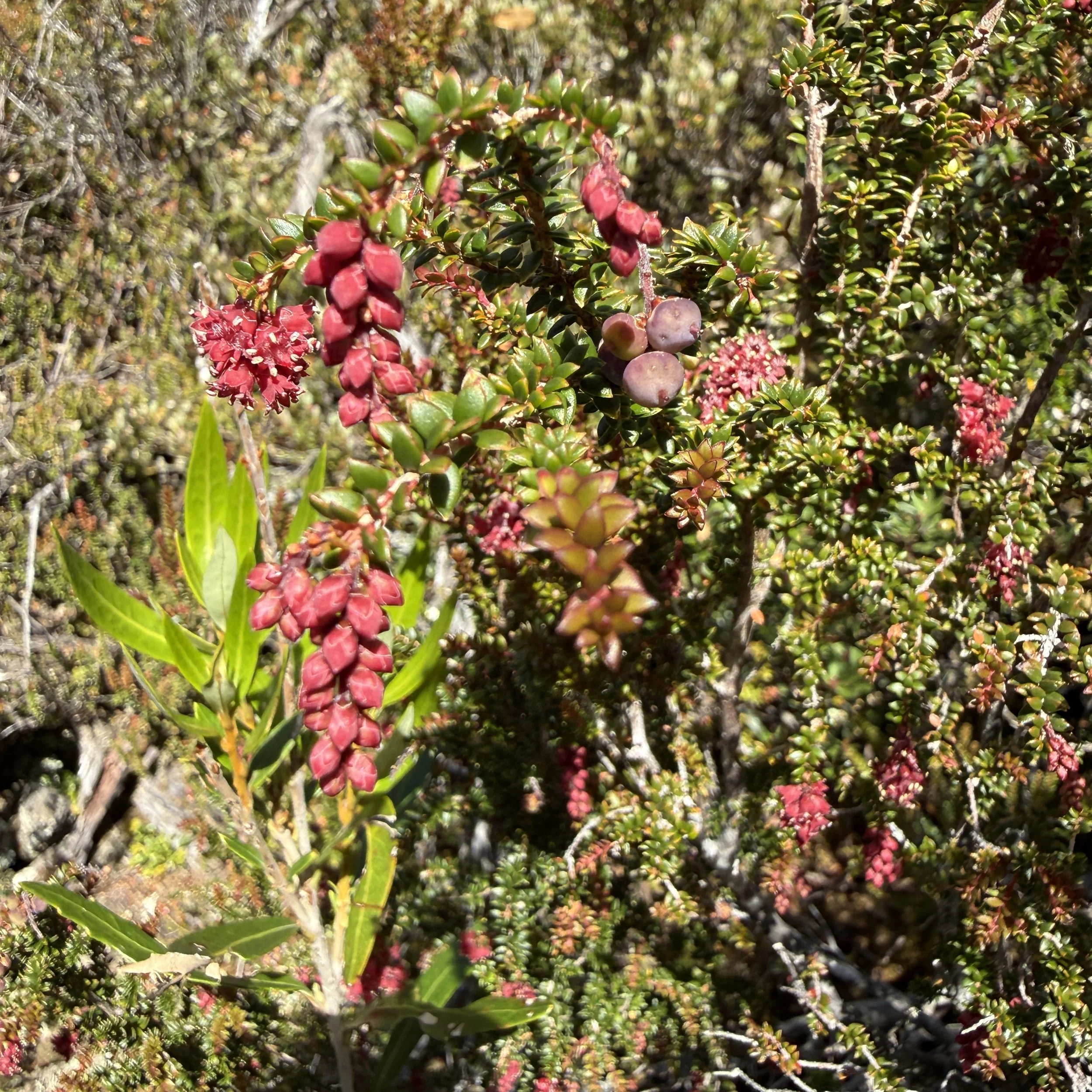 2026-02-22 10.34.31-2.jpg