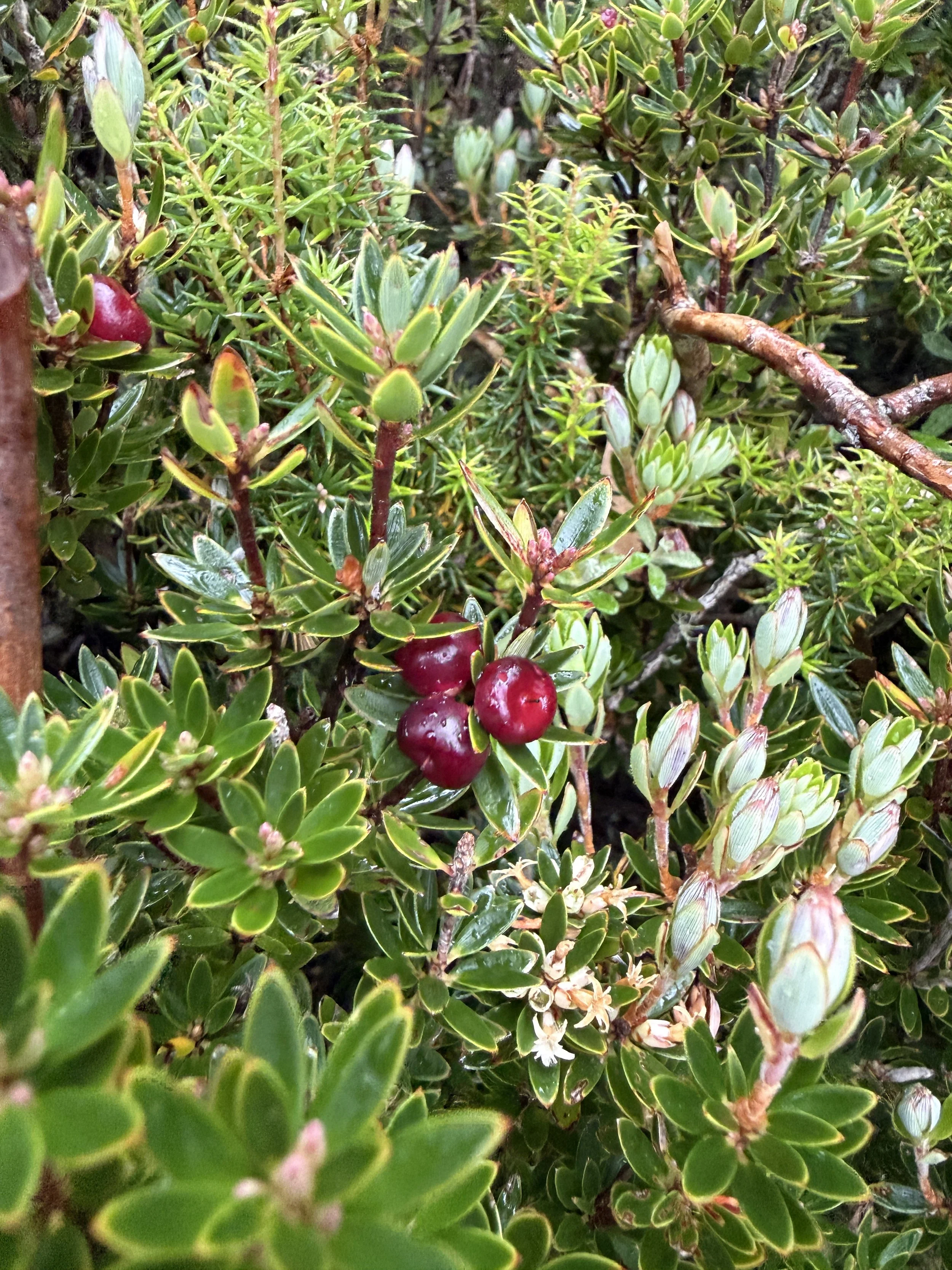 2026-02-22 14.20.22-1.jpg