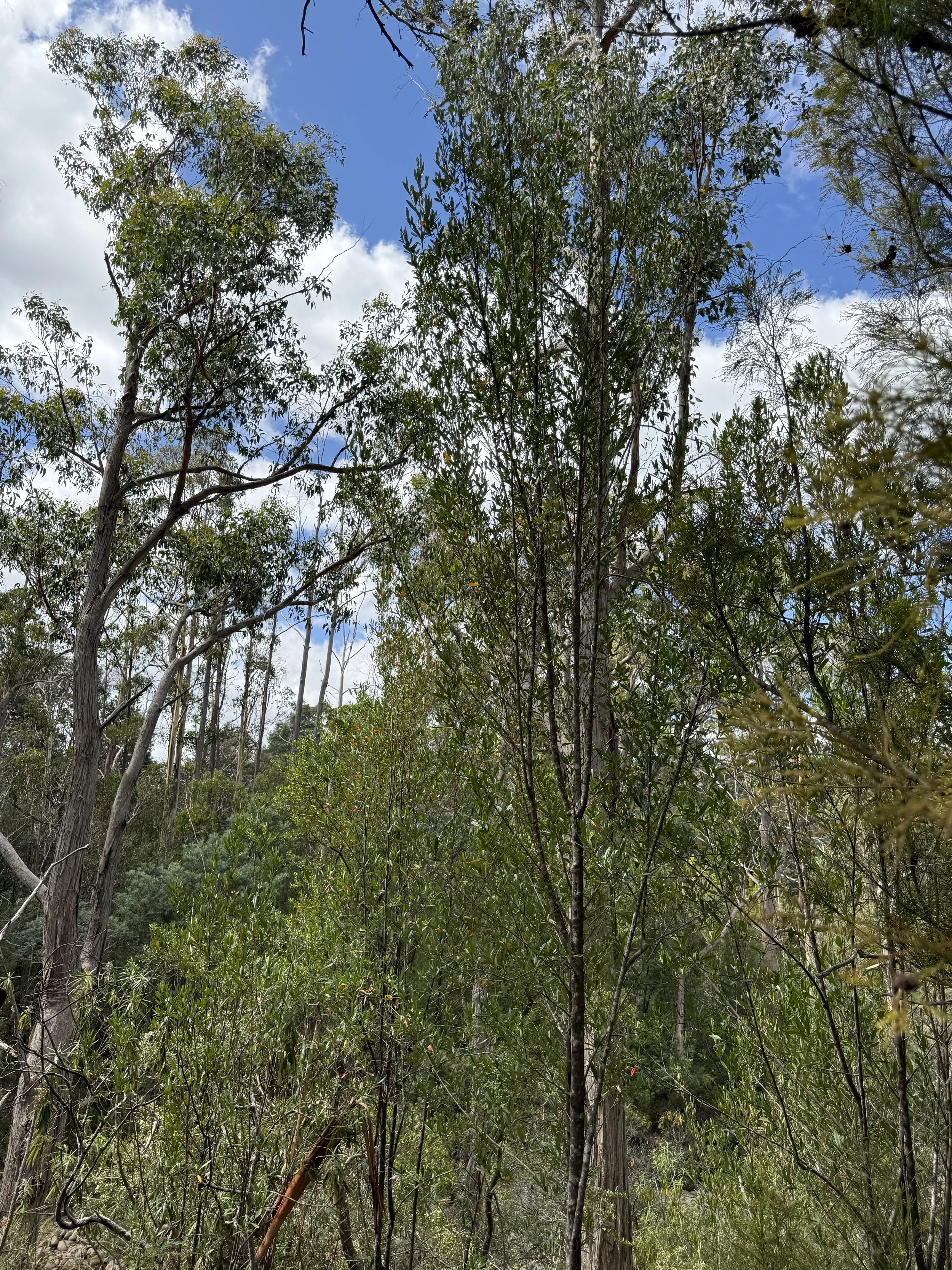 2026-02-28 14.47.21.jpg