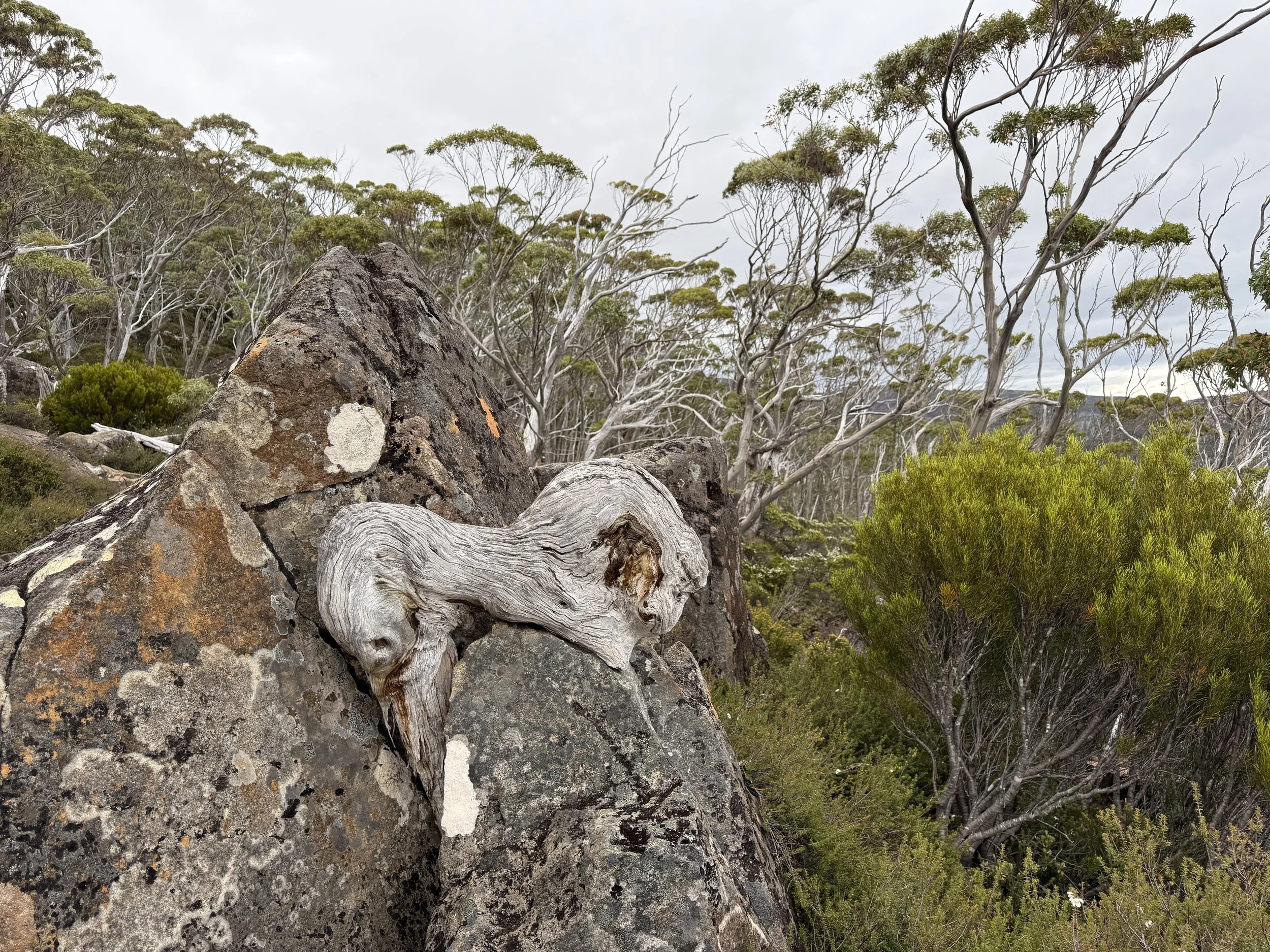 2026-02-22 11.27.33-1.jpg