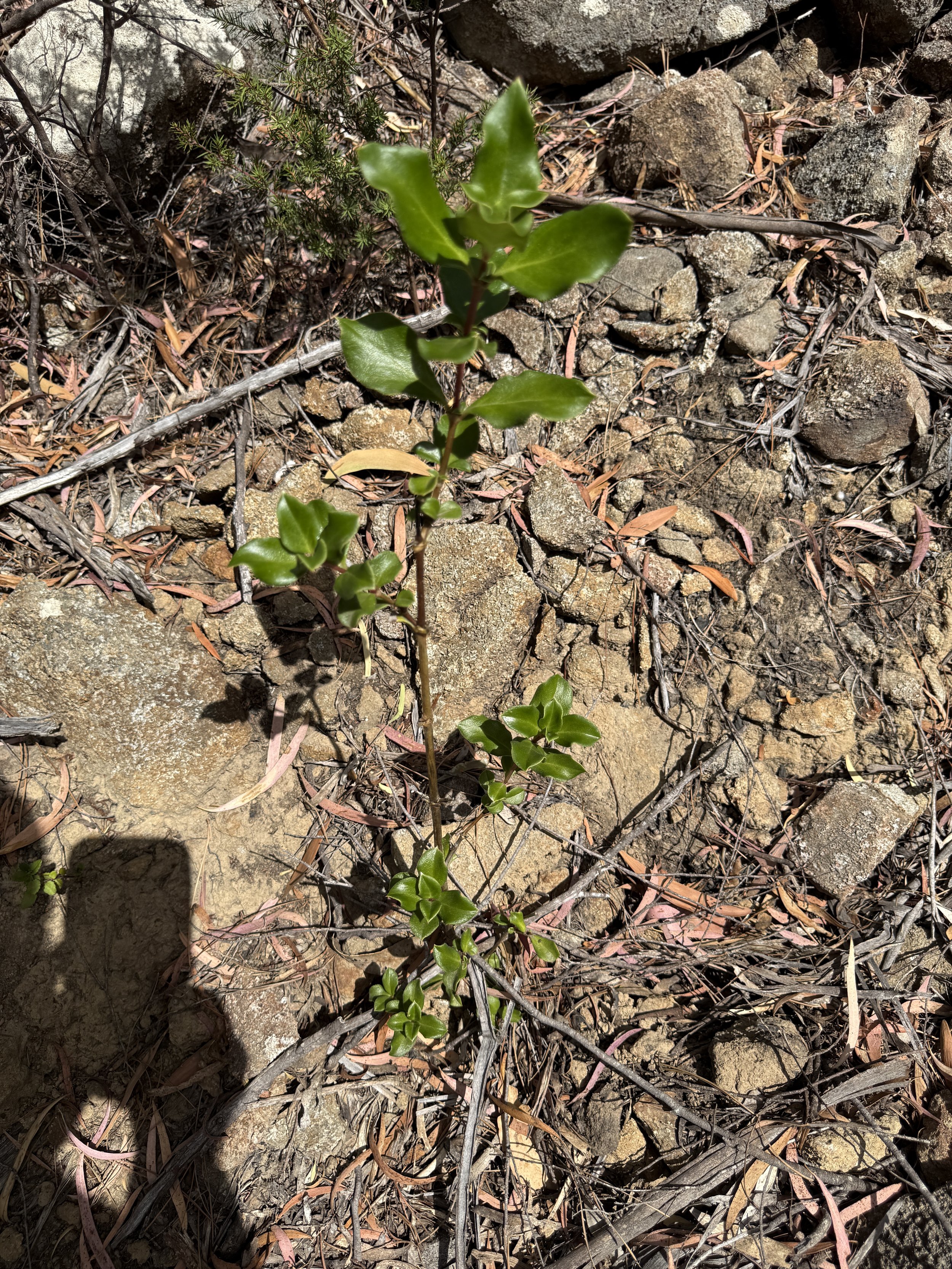 2026-02-28 15.03.20.jpg