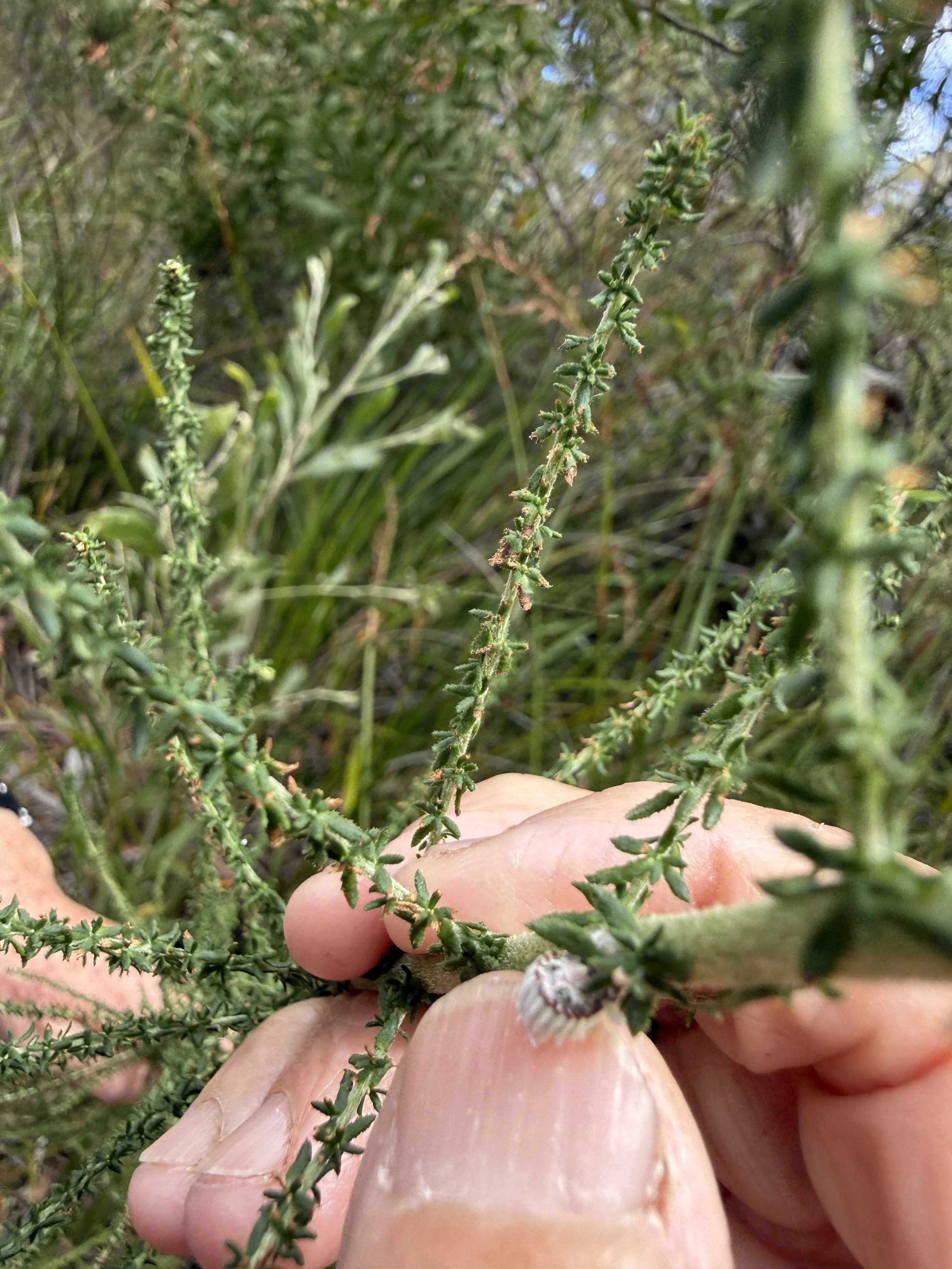 2026-02-28 14.46.49.jpg