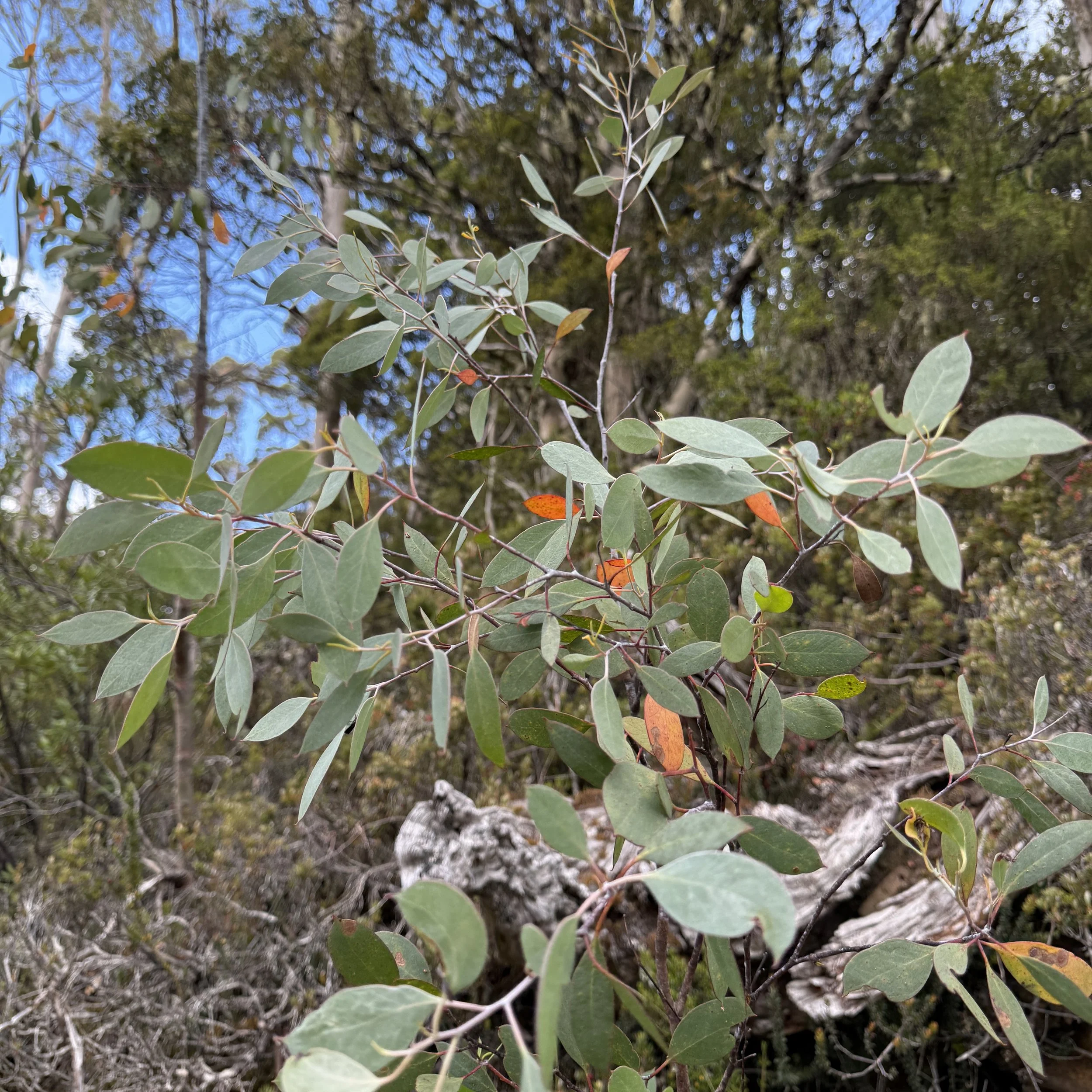 2026-02-22 10.42.22-2.jpg