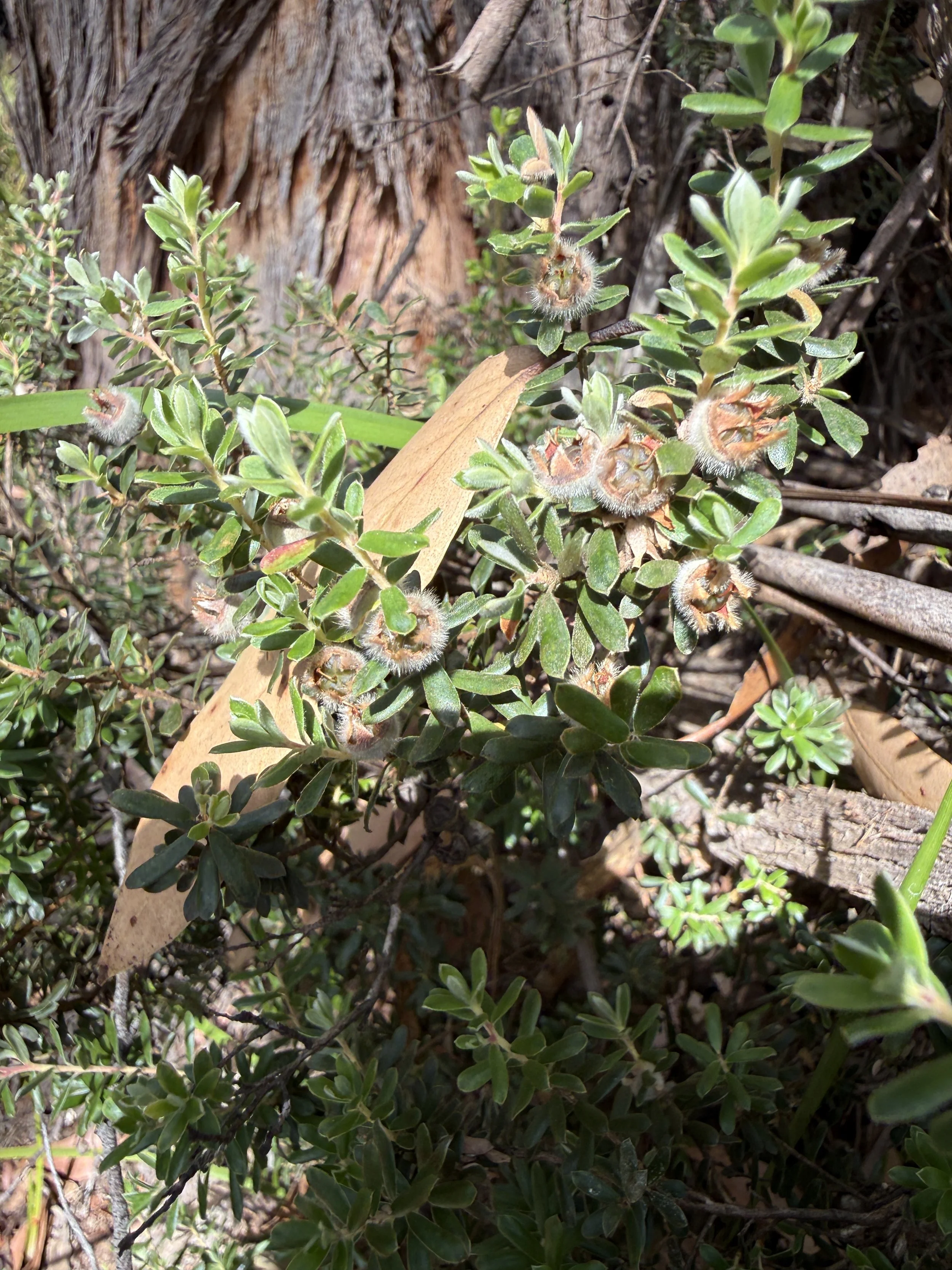 2026-02-28 15.07.47.jpg