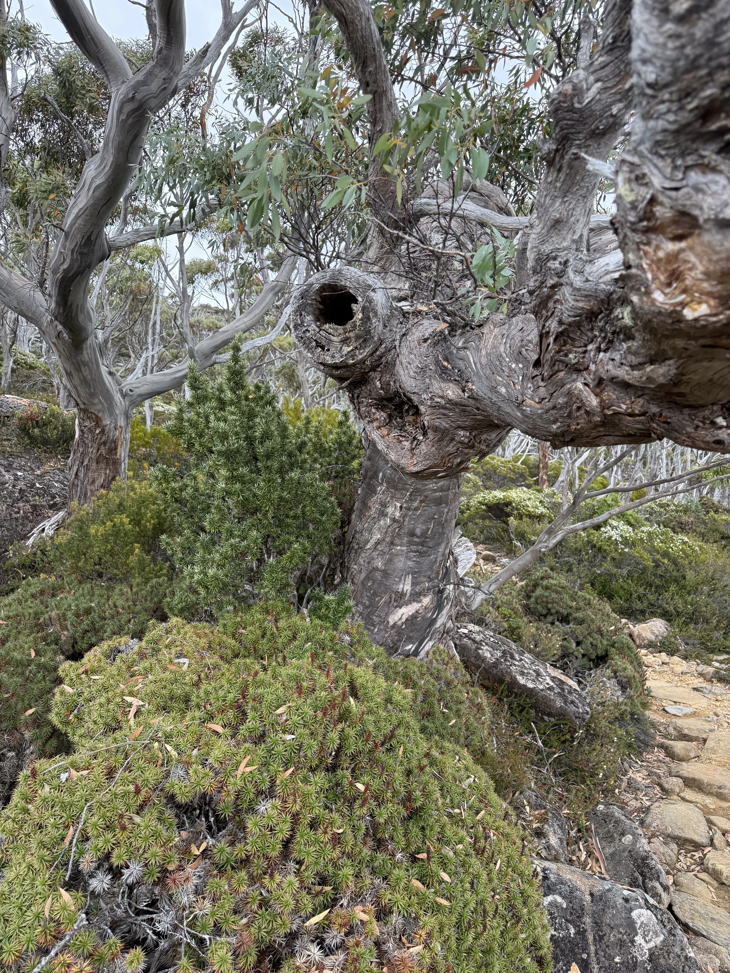 2026-02-22 11.26.31-1.jpg