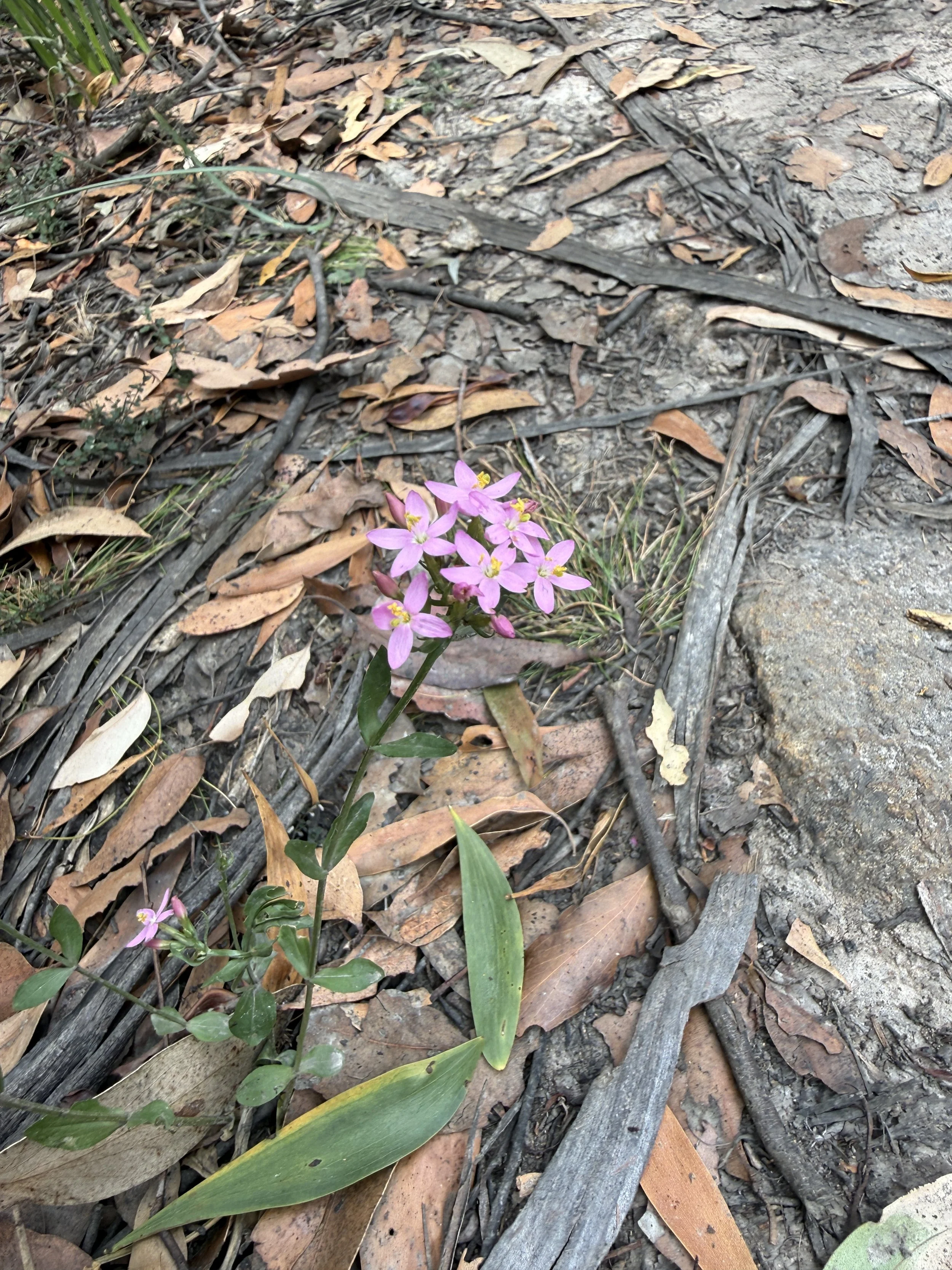 2026-02-28 14.29.06.jpg