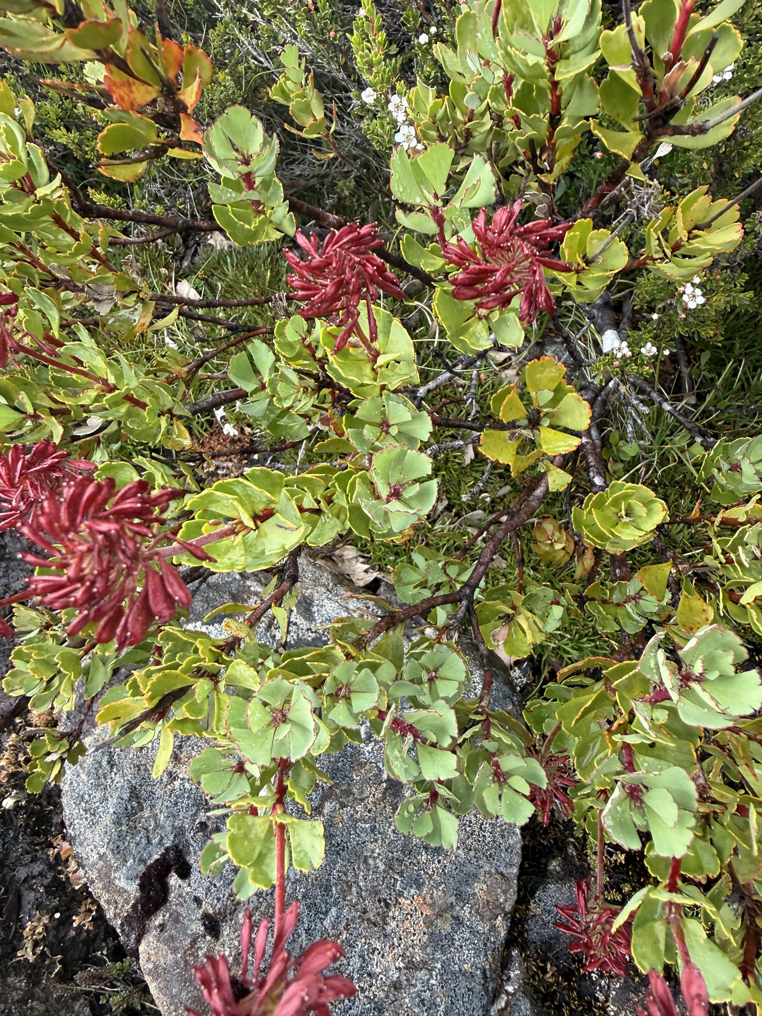 2026-02-22 12.46.23-1.jpg