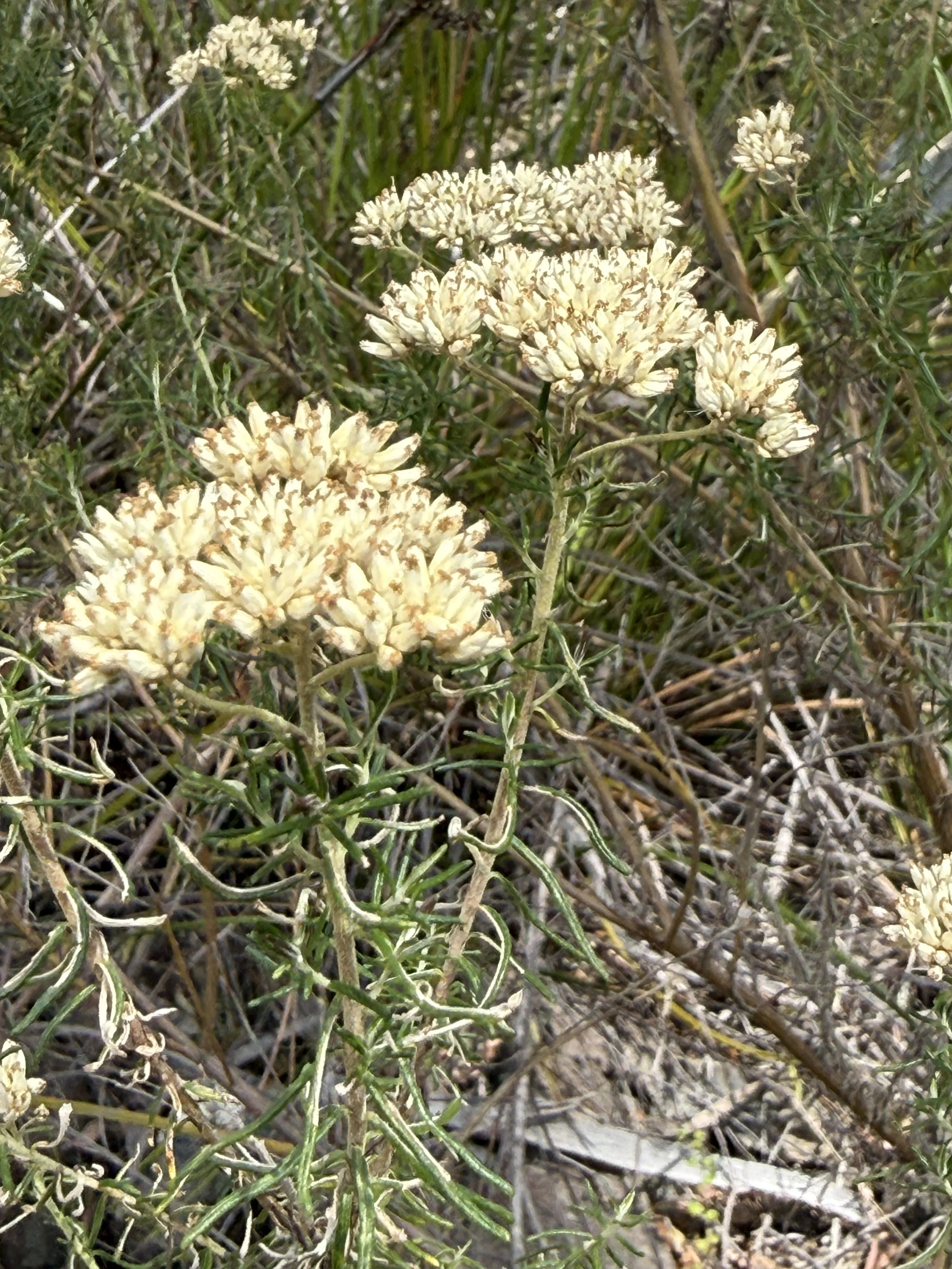 2026-02-28 14.53.17.jpg