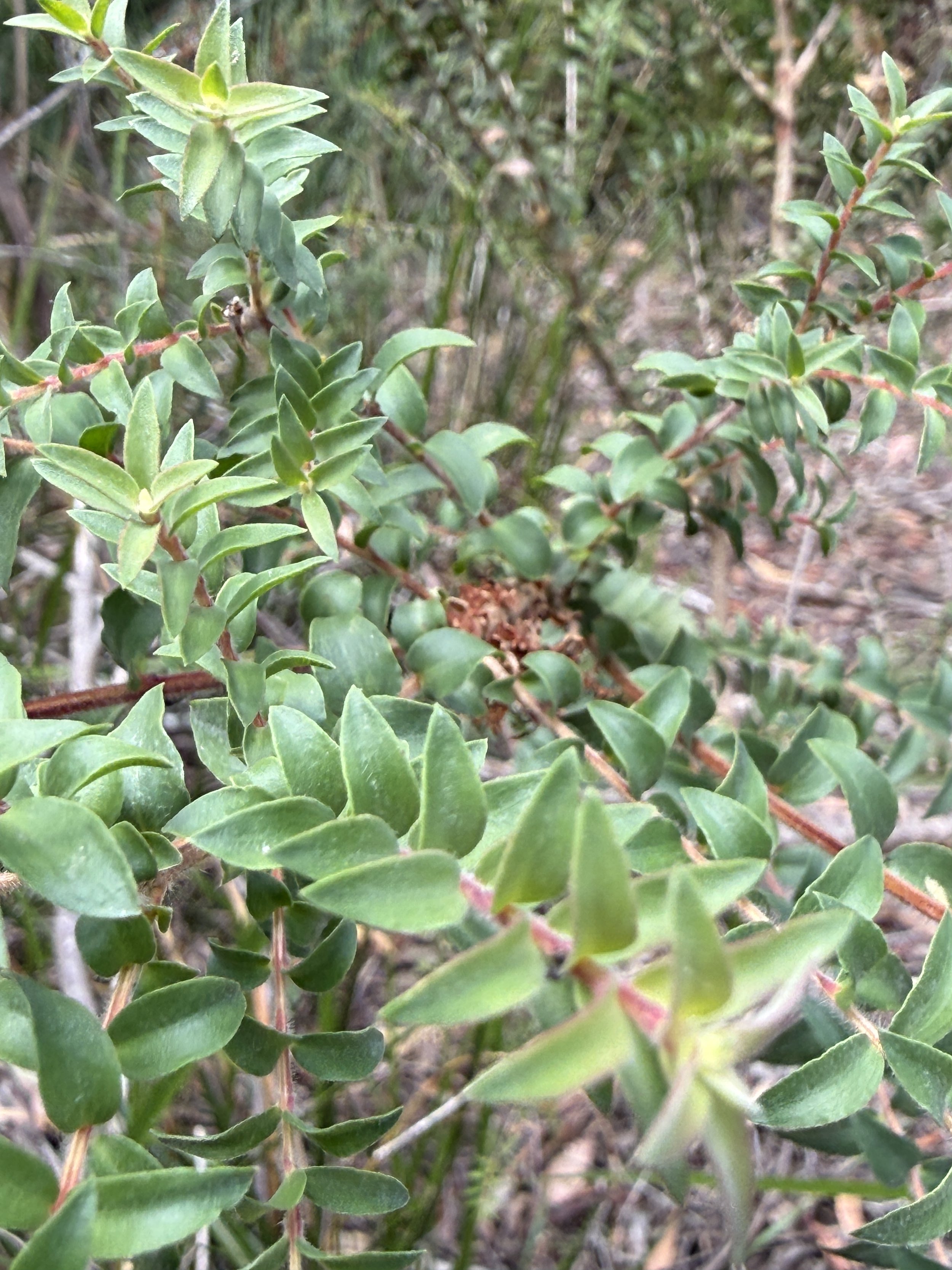 2026-02-28 14.40.36.jpg