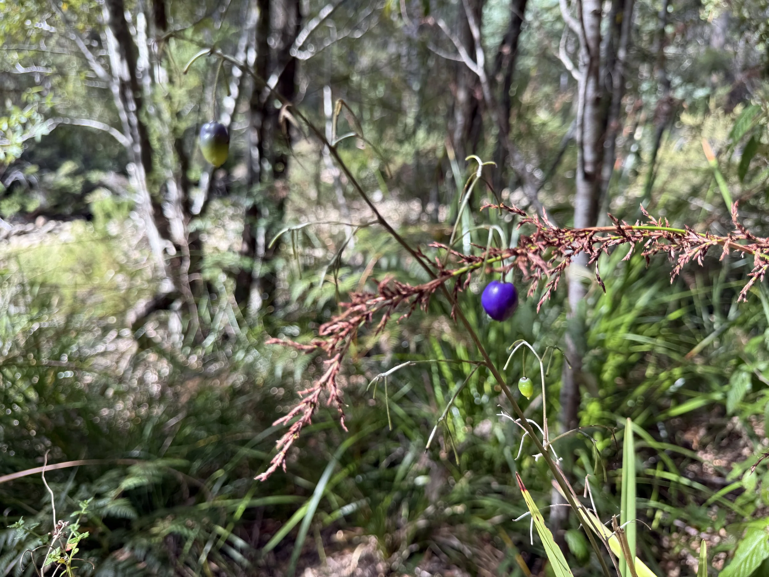 2026-02-28 15.19.53.jpg