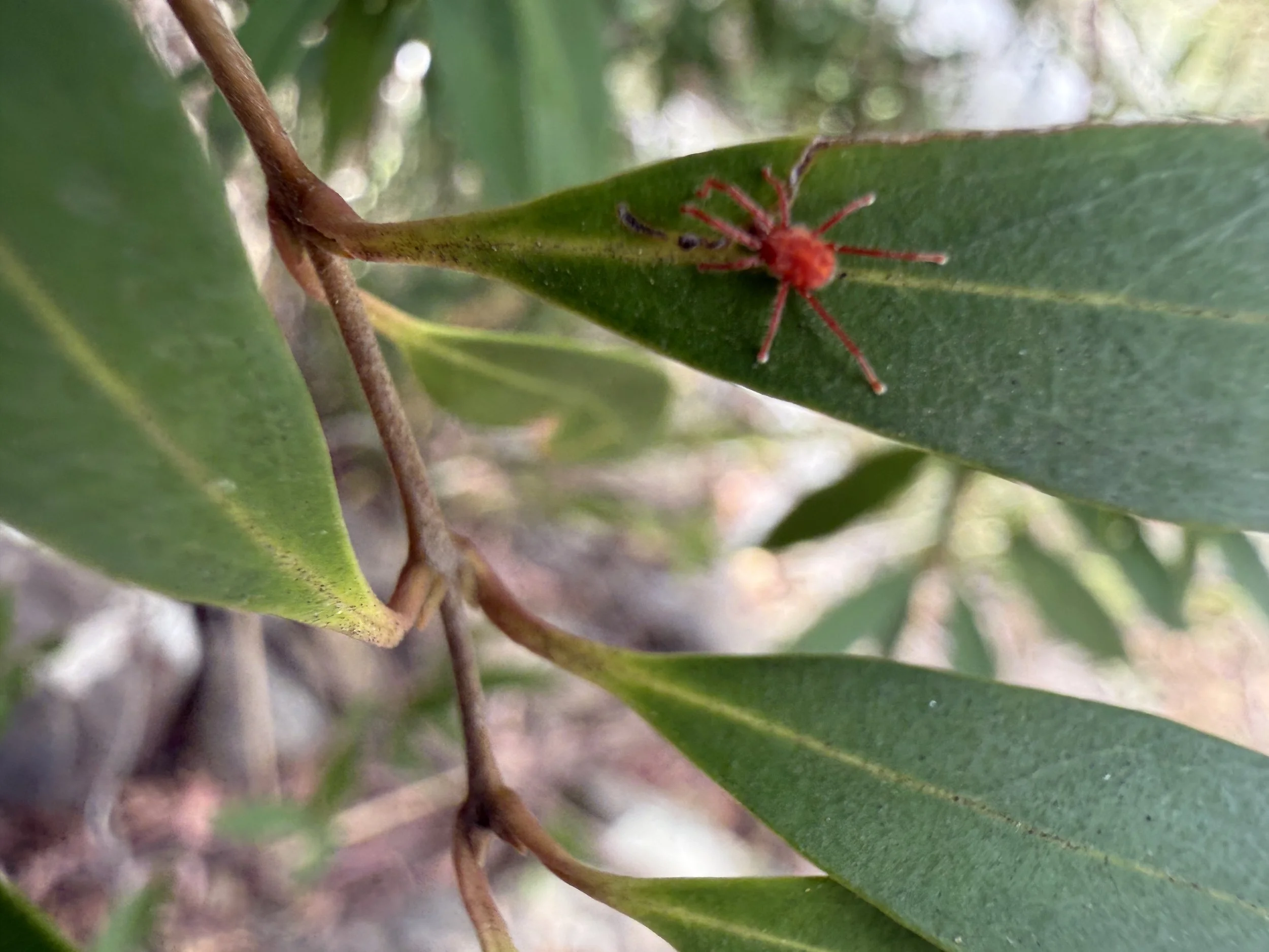 2026-02-28 15.03.01.jpg