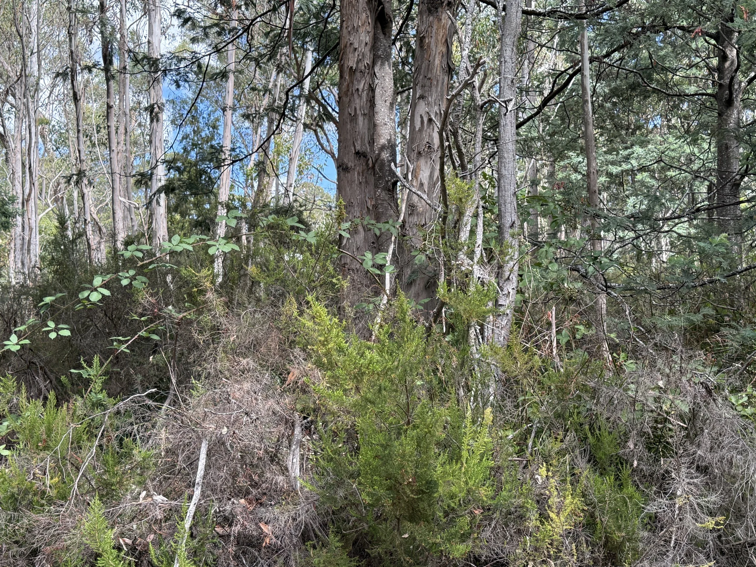 2026-02-28 14.38.39.jpg