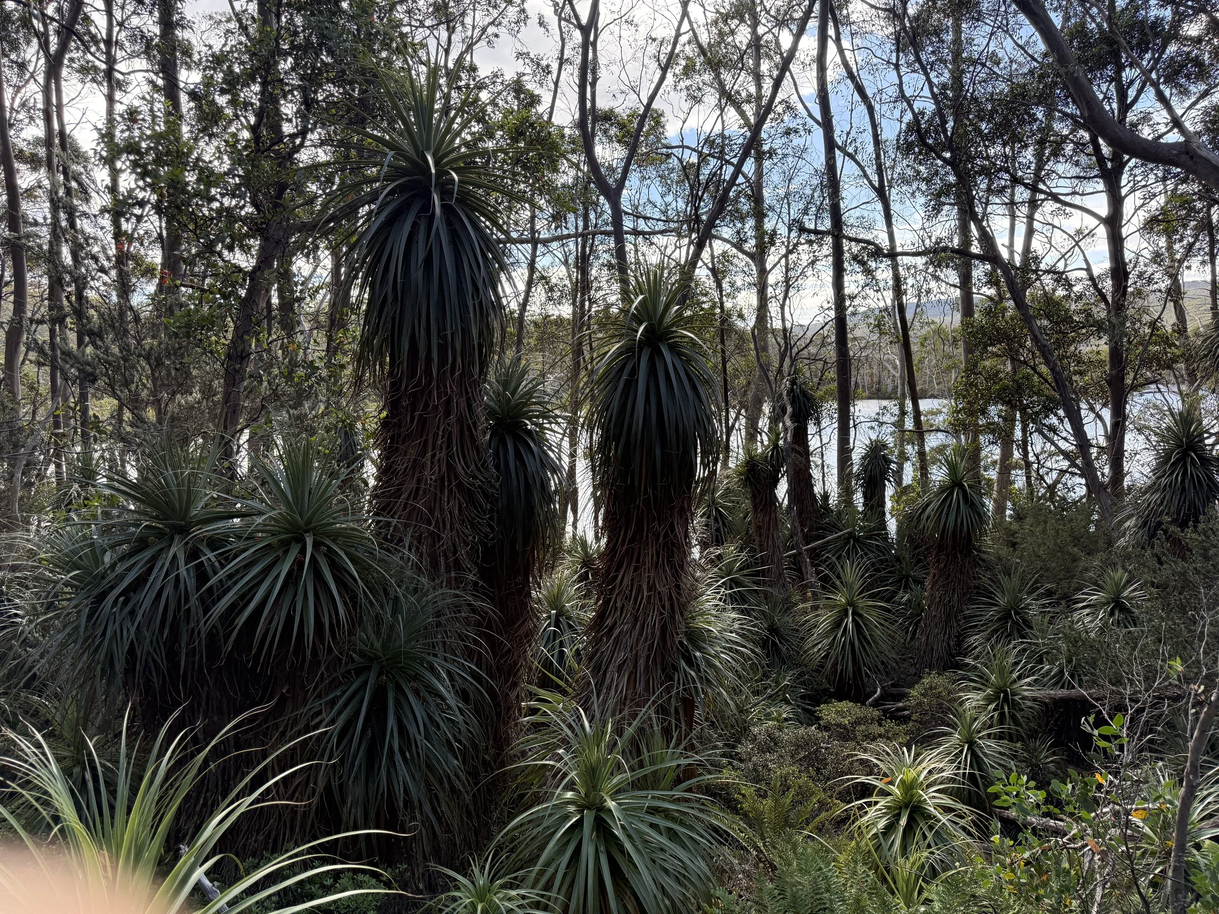 2026-02-22 10.28.03-1.jpg