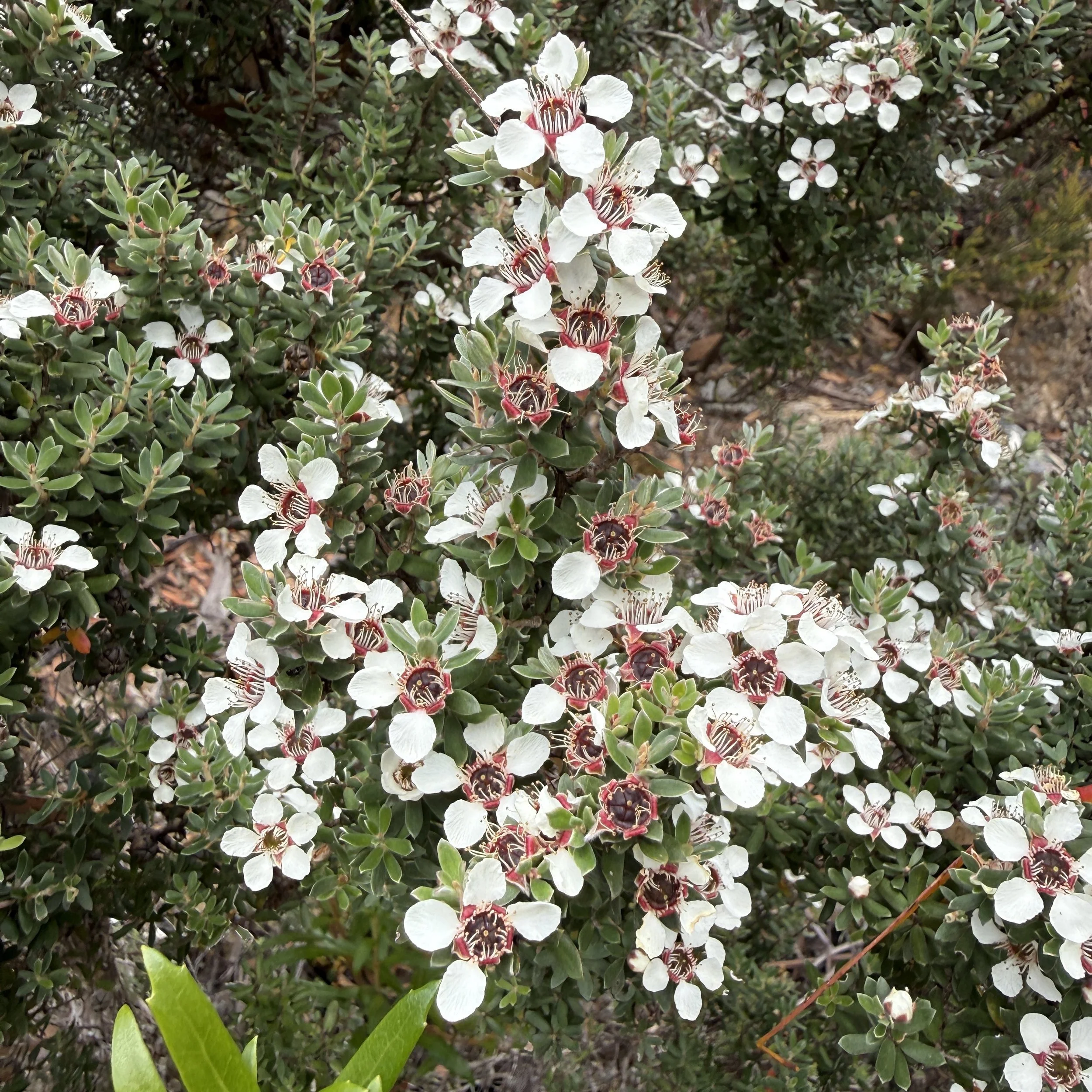 2026-02-22 10.46.37-2.jpg