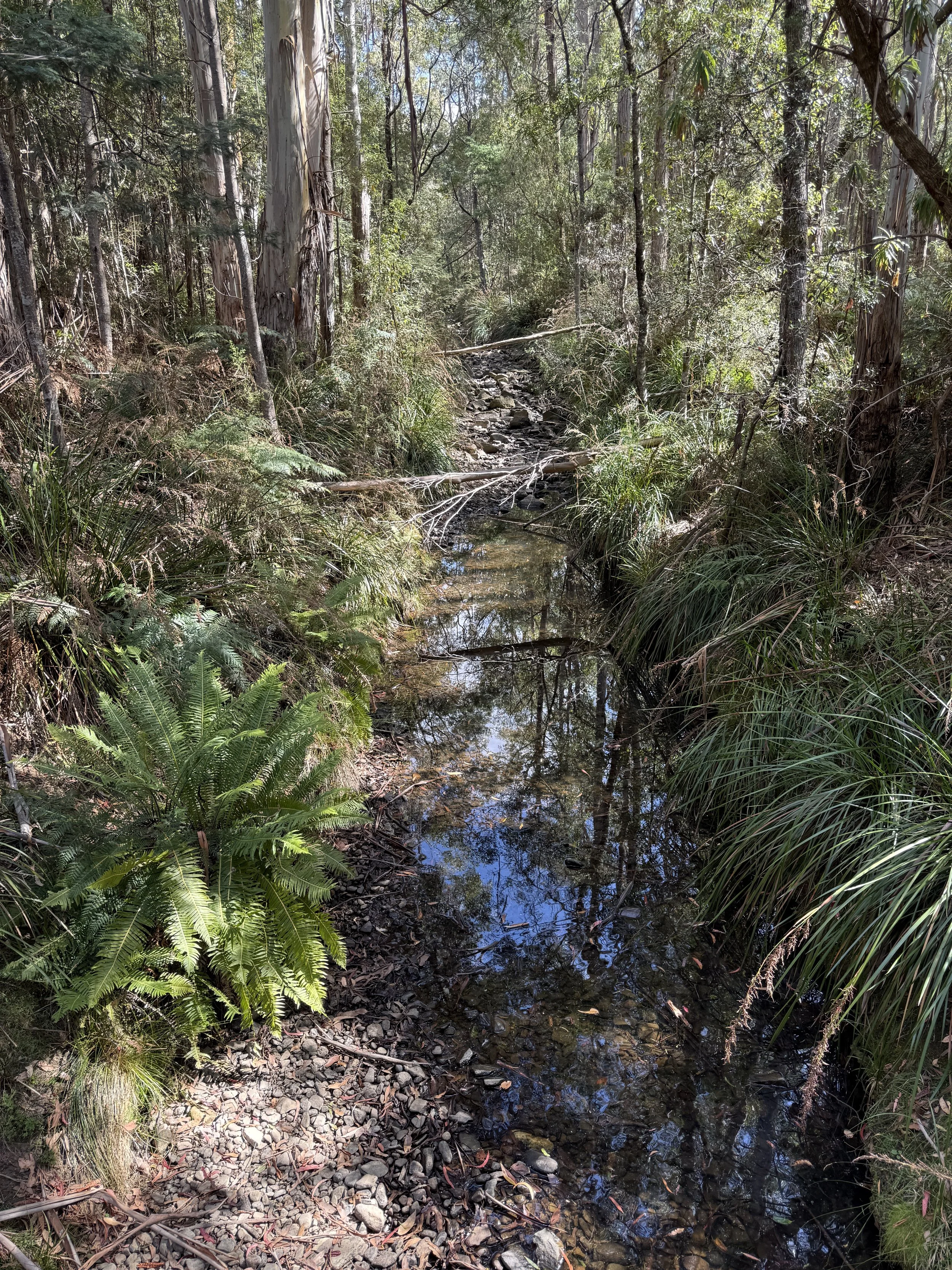 2026-02-28 15.34.05.jpg