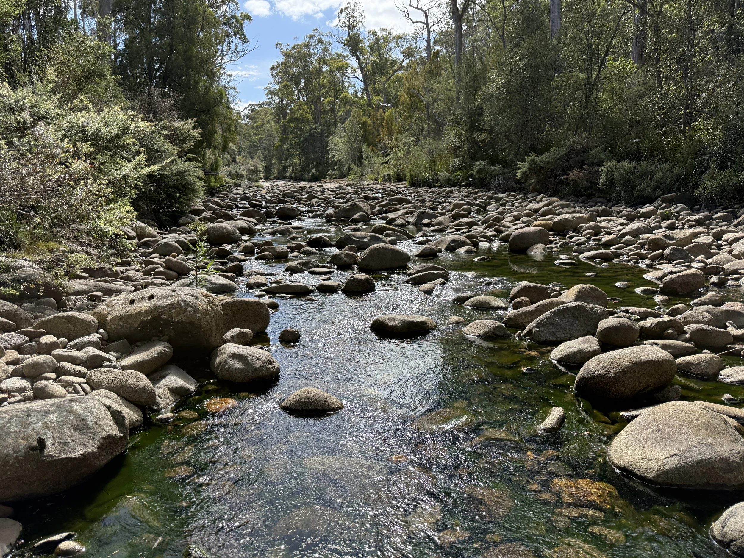 2026-02-28 15.20.45.jpg