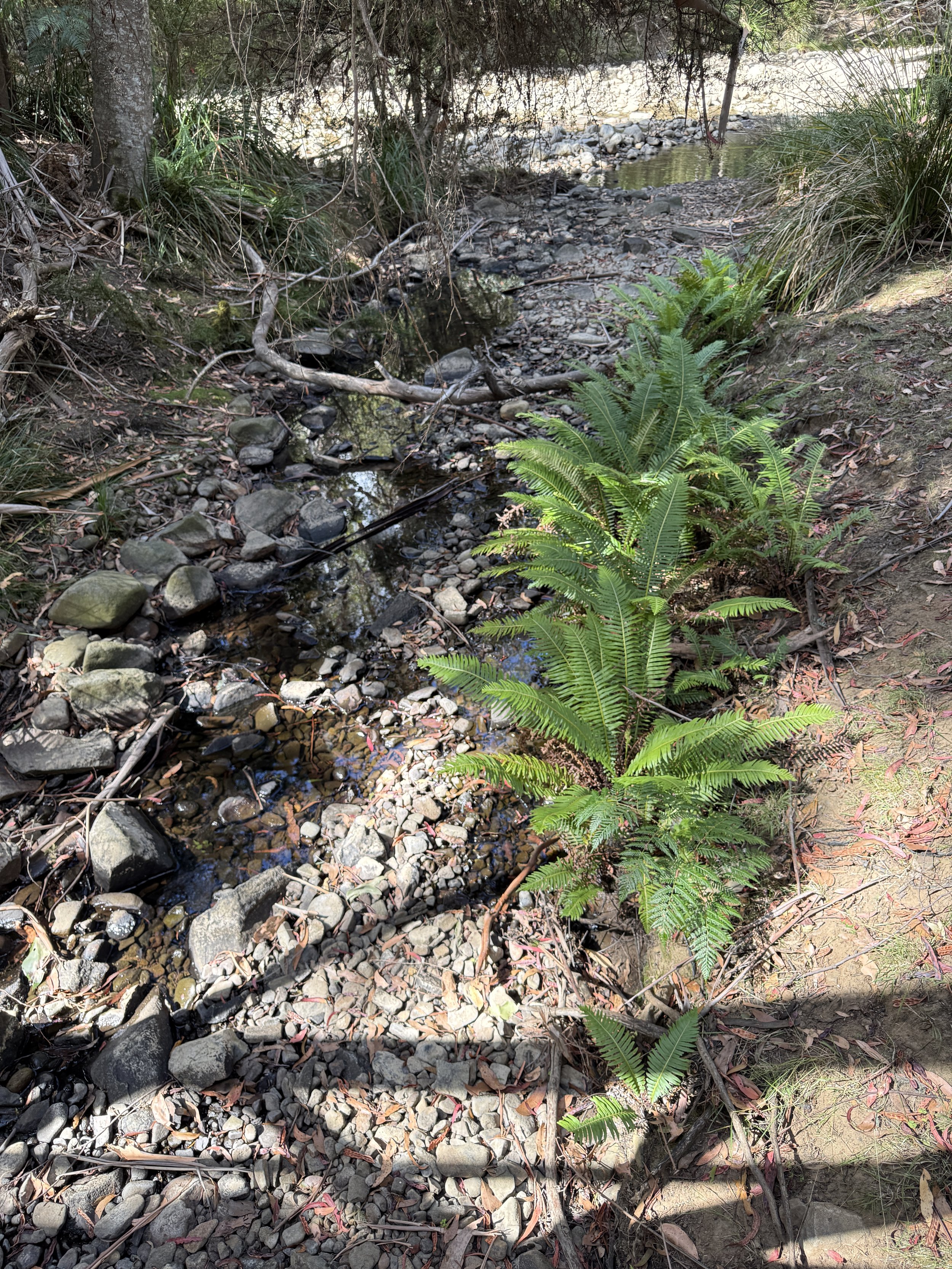 2026-02-28 15.34.17.jpg