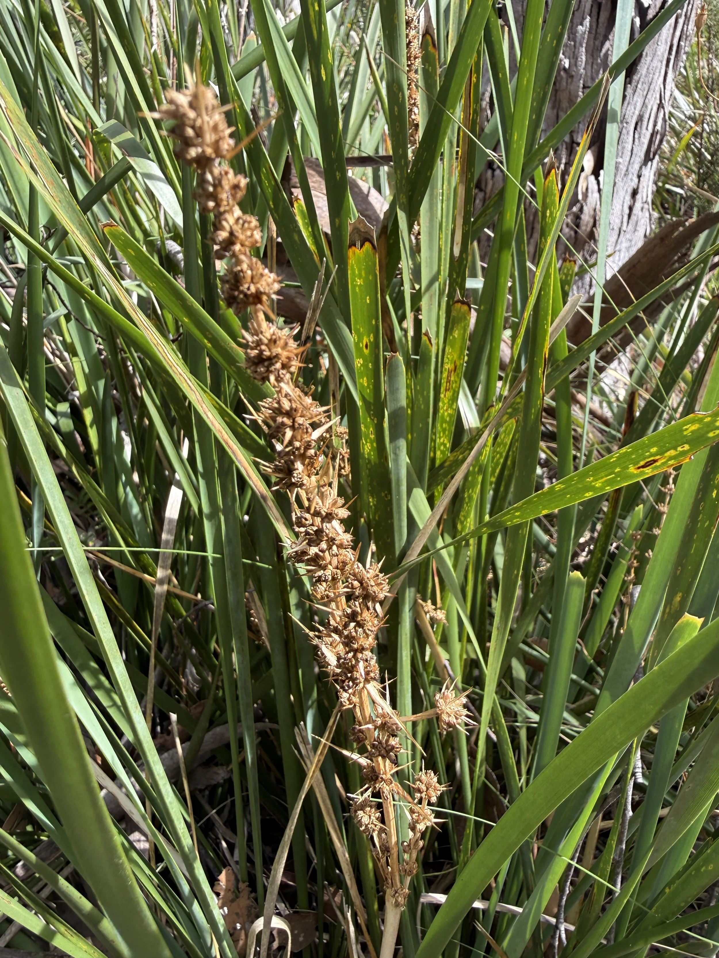 2026-02-28 14.17.58.jpg