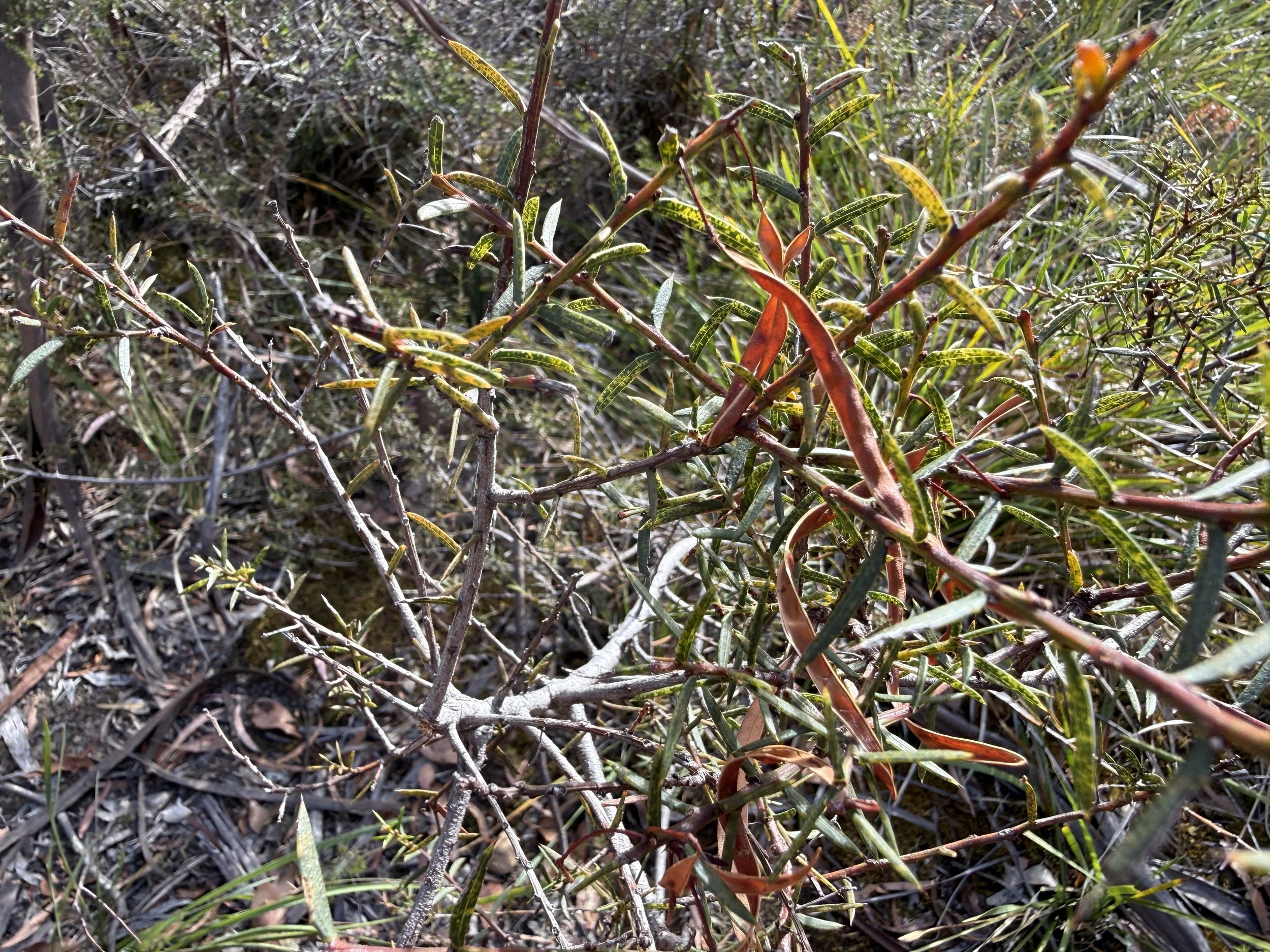 2026-02-28 16.43.24.jpg