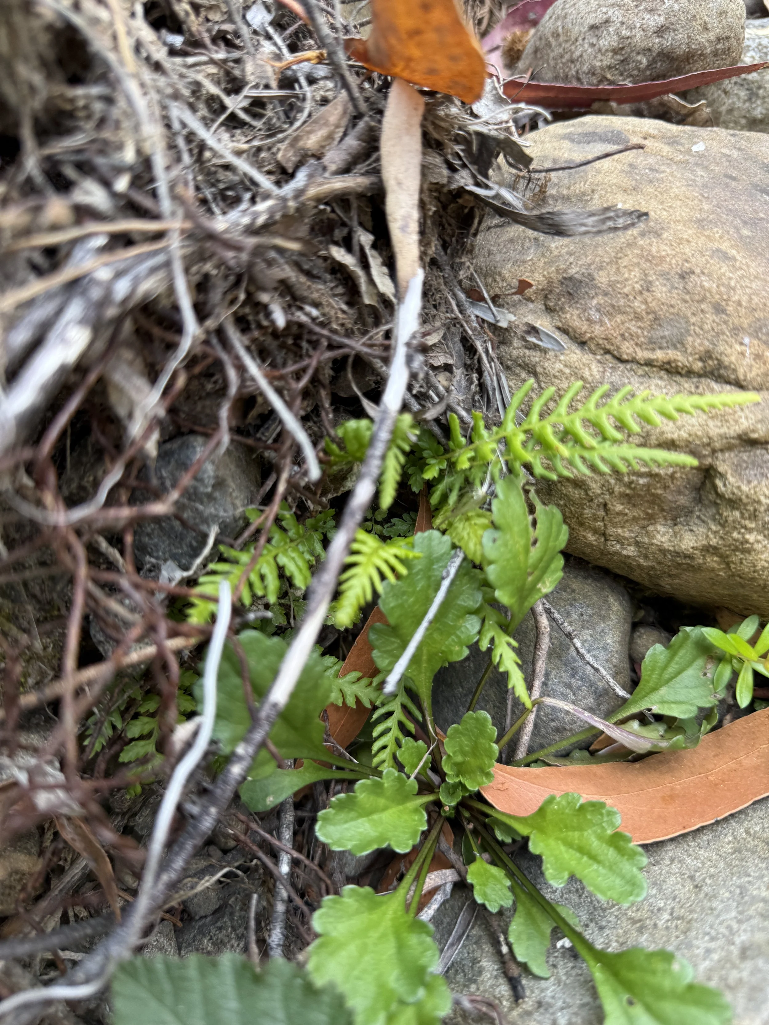 2026-02-28 16.15.06.jpg