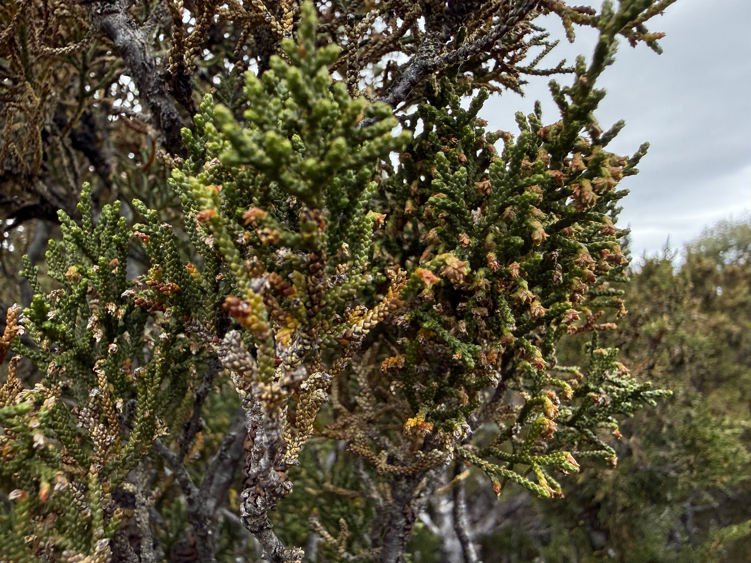 2026-02-22 11.55.33-1.jpg