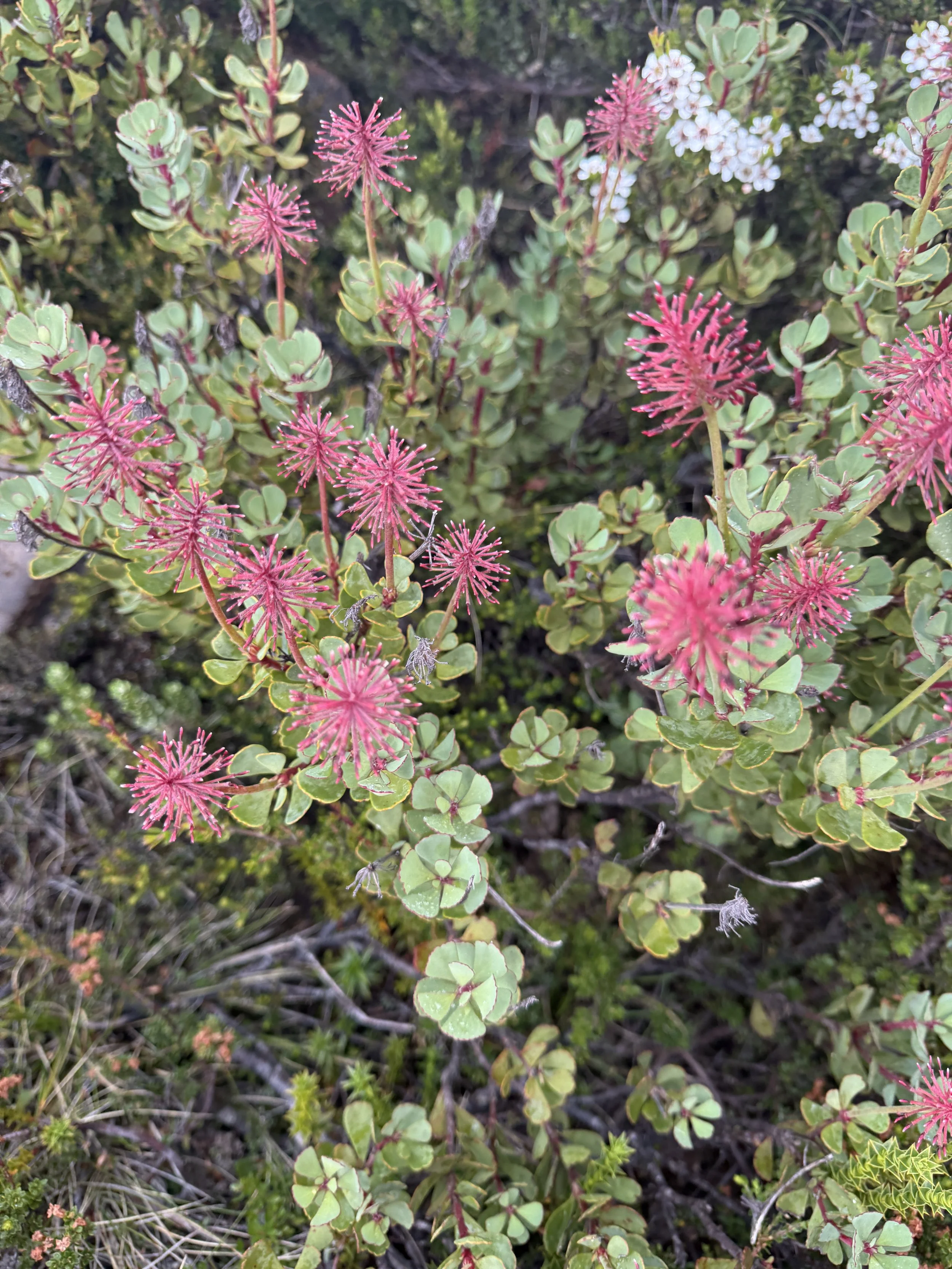 2026-02-22 12.46.34-1.jpg