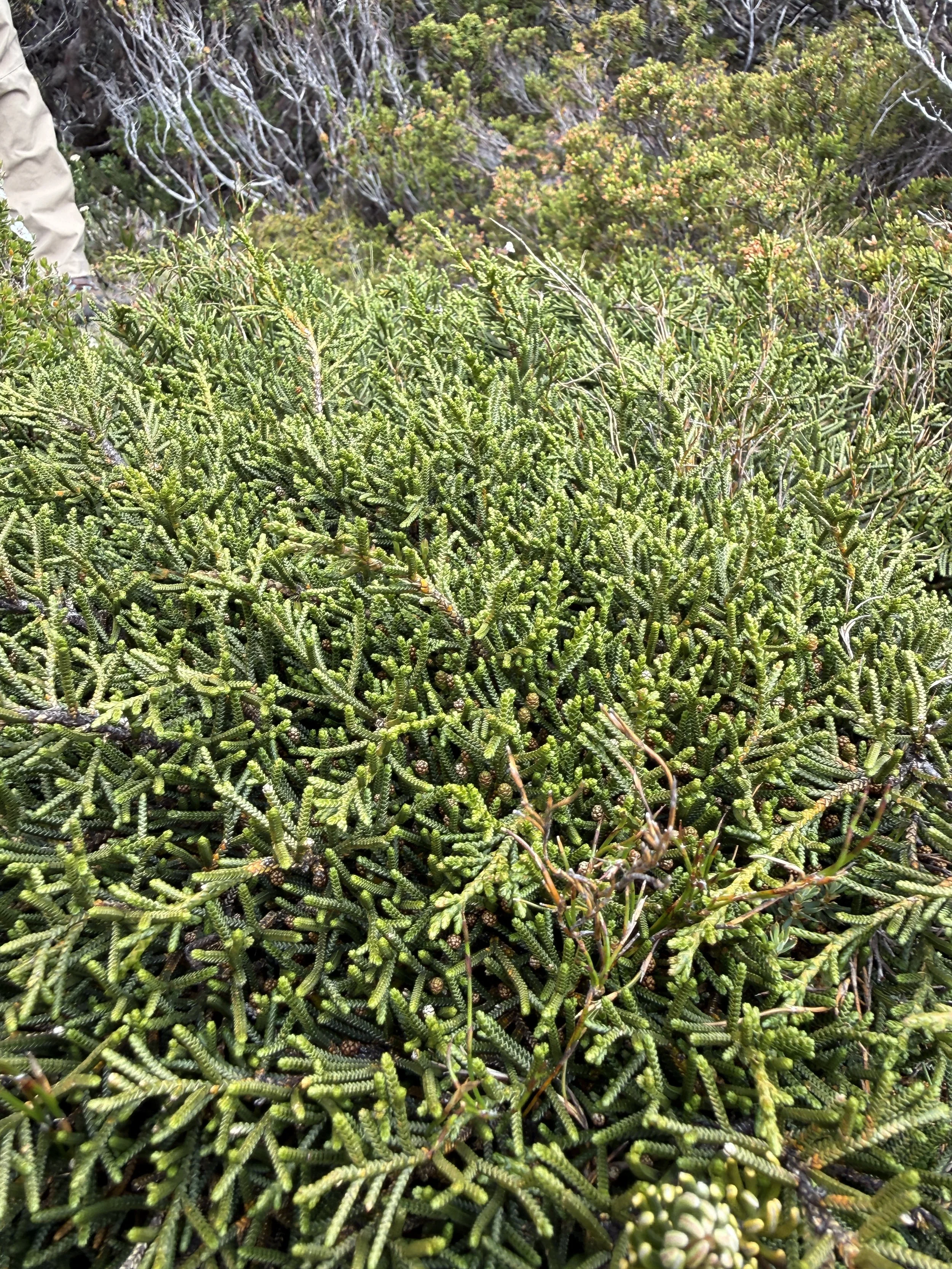 2026-02-22 12.04.15-1.jpg