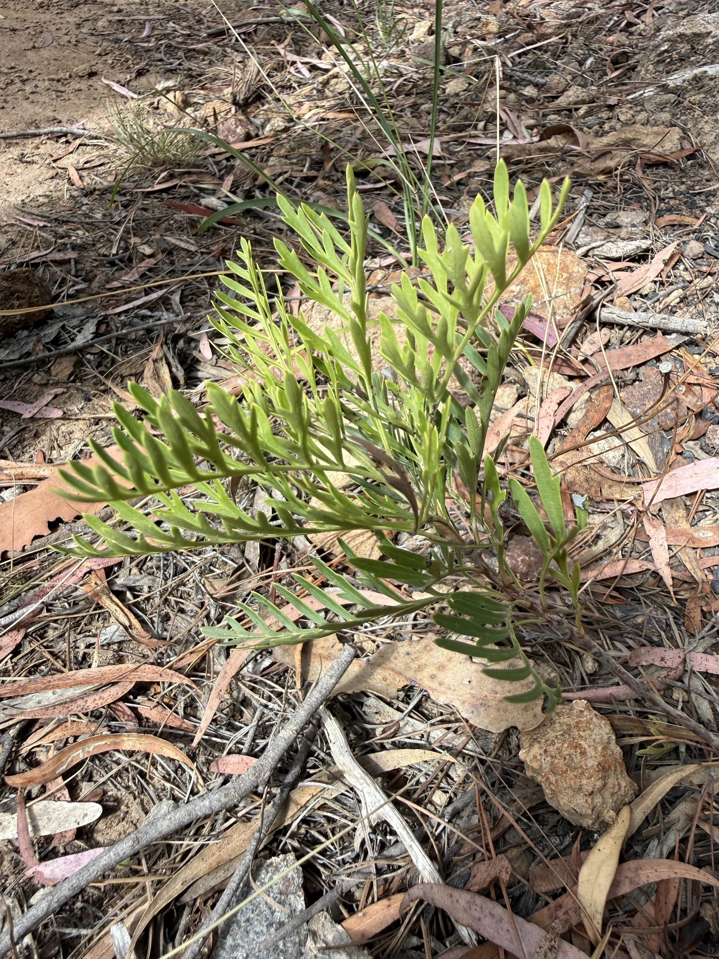 2026-02-28 15.00.31.jpg