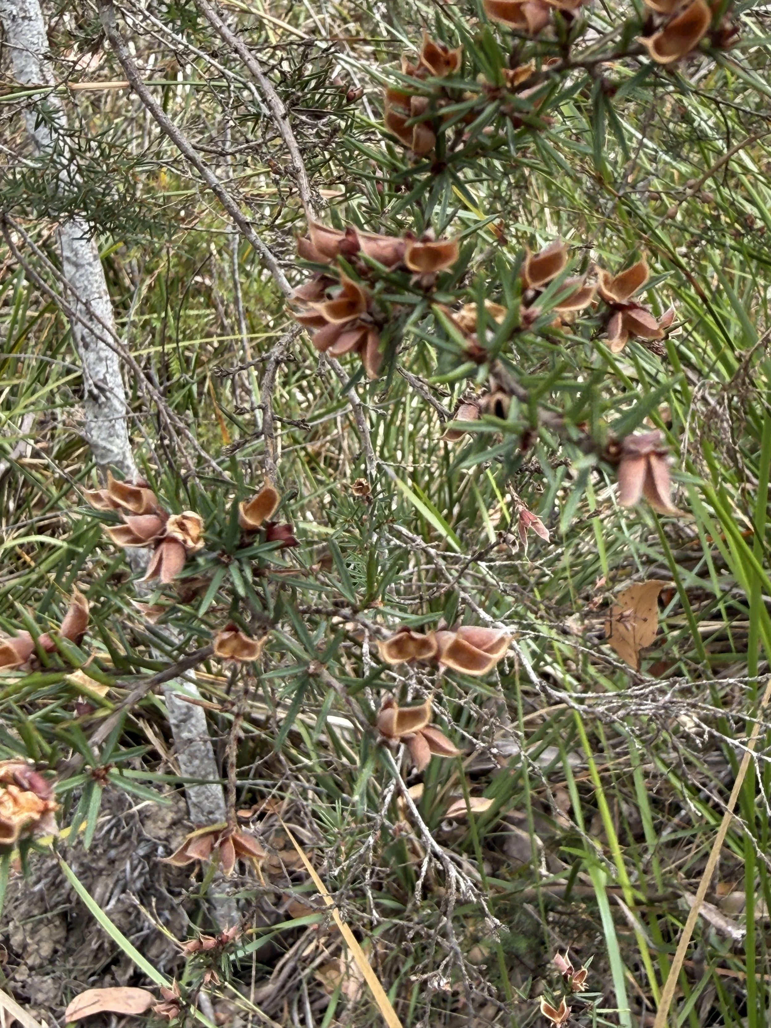 2026-02-28 14.43.47.jpg