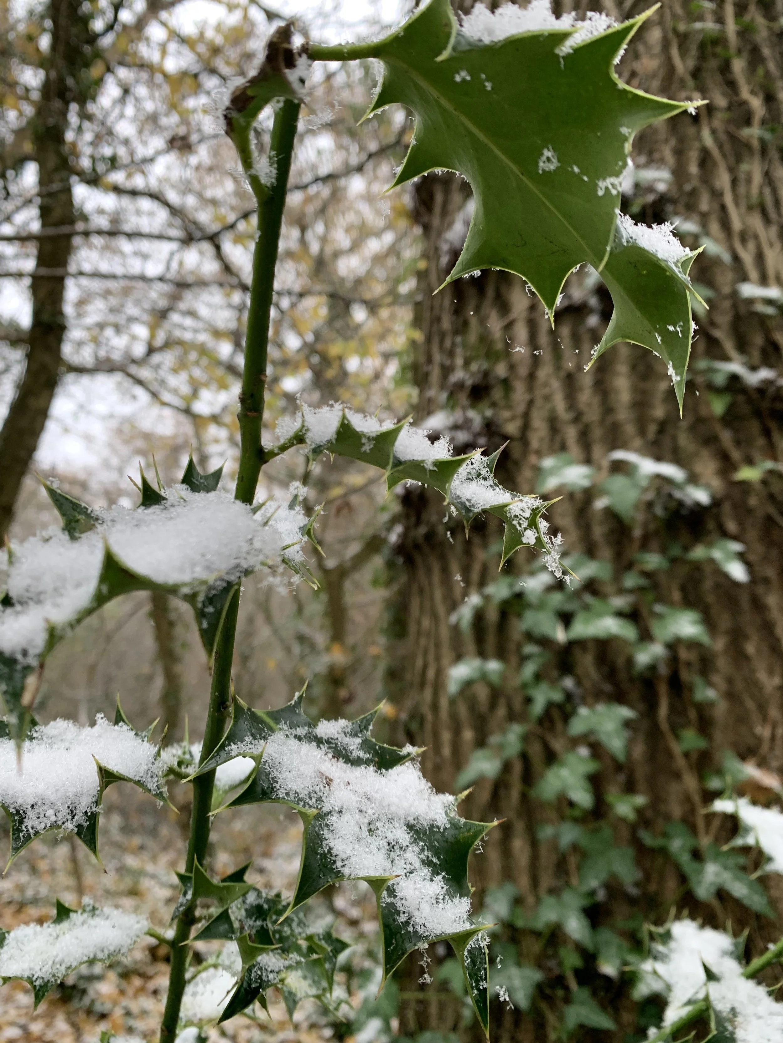 Boundaries &amp; Balance: how to find calm and control this December&nbsp;