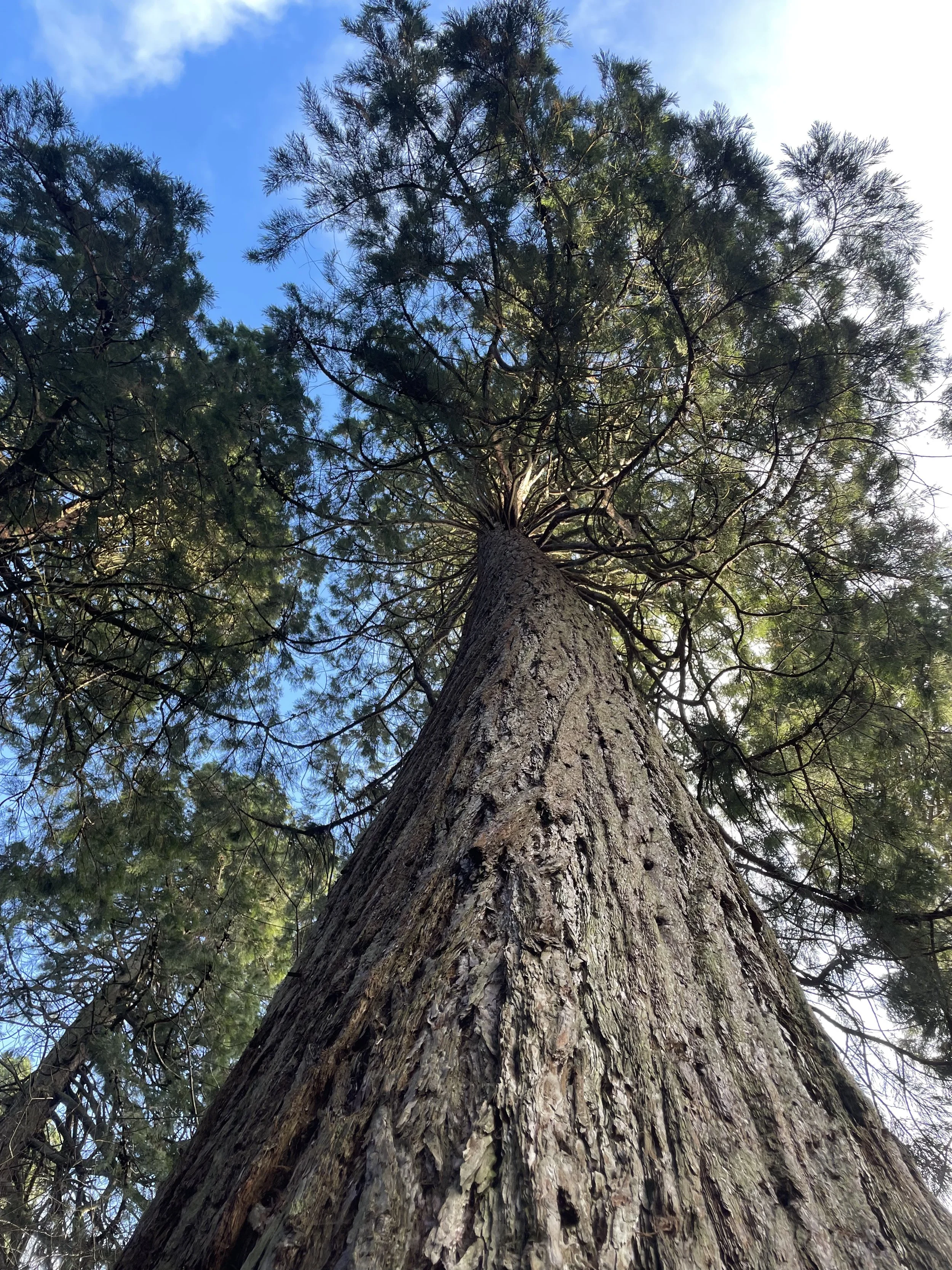 The power of taking small steps for better wellbeing in busy times&nbsp;