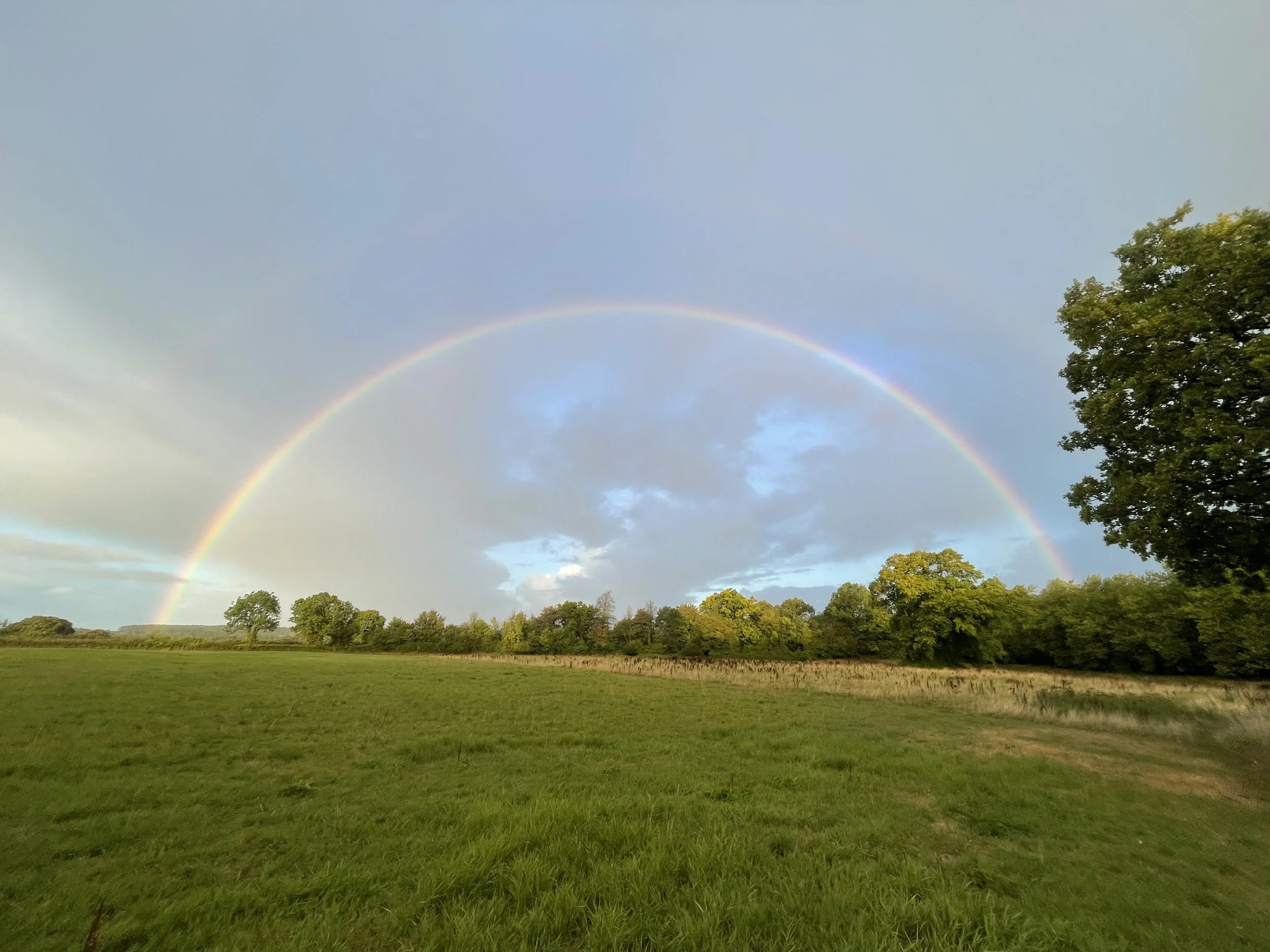 Managing emotional wellbeing in midlife: A compassionate approach