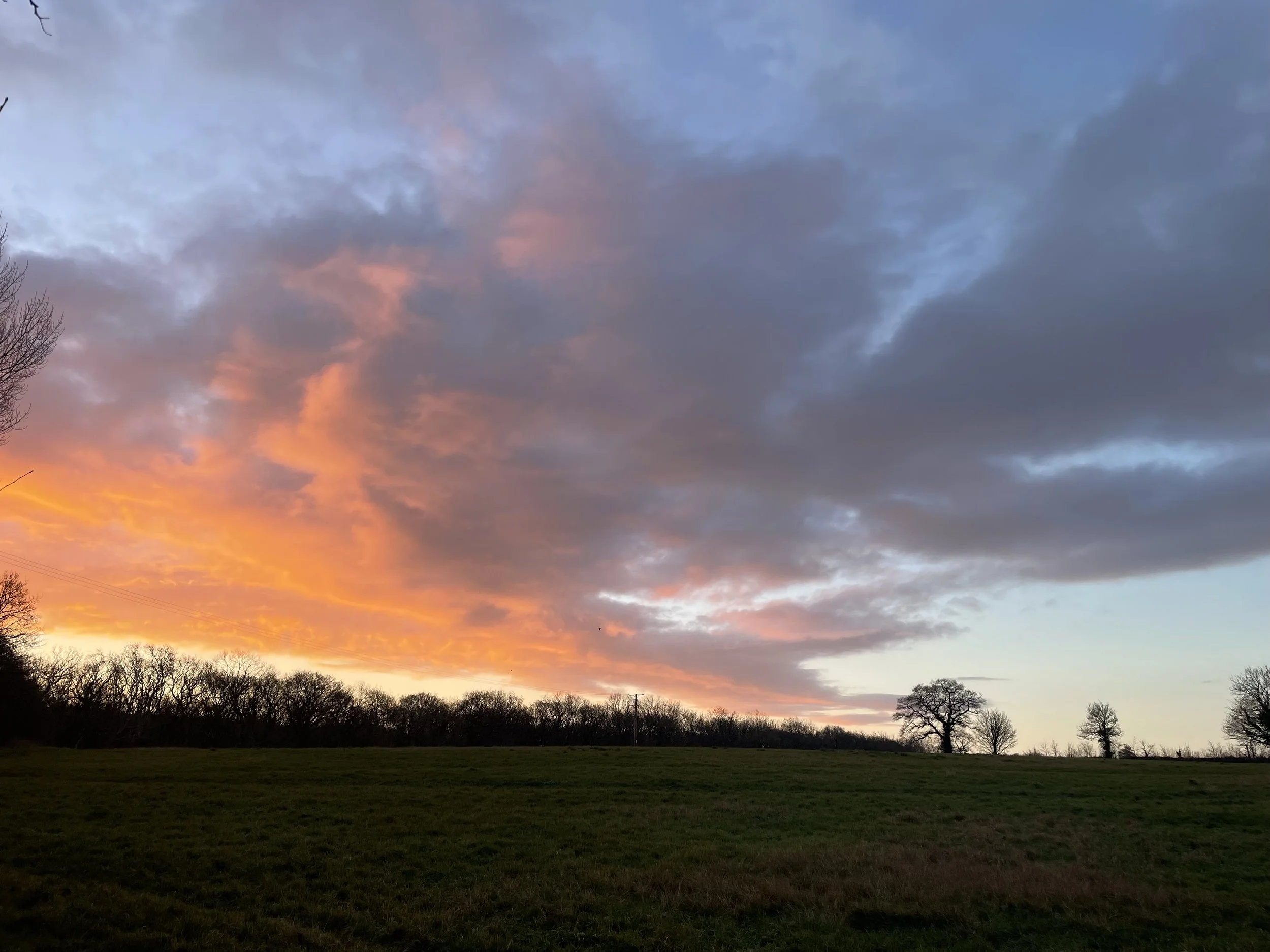 A Gentle Approach to January 