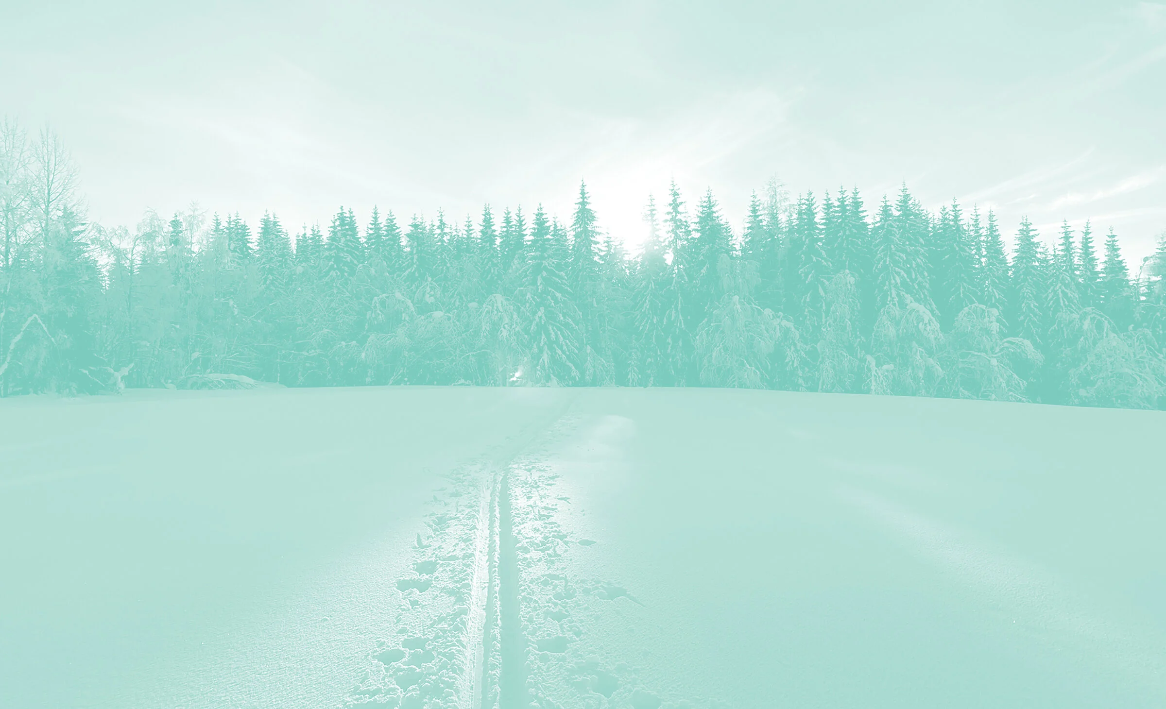 Snowtracks.jpg