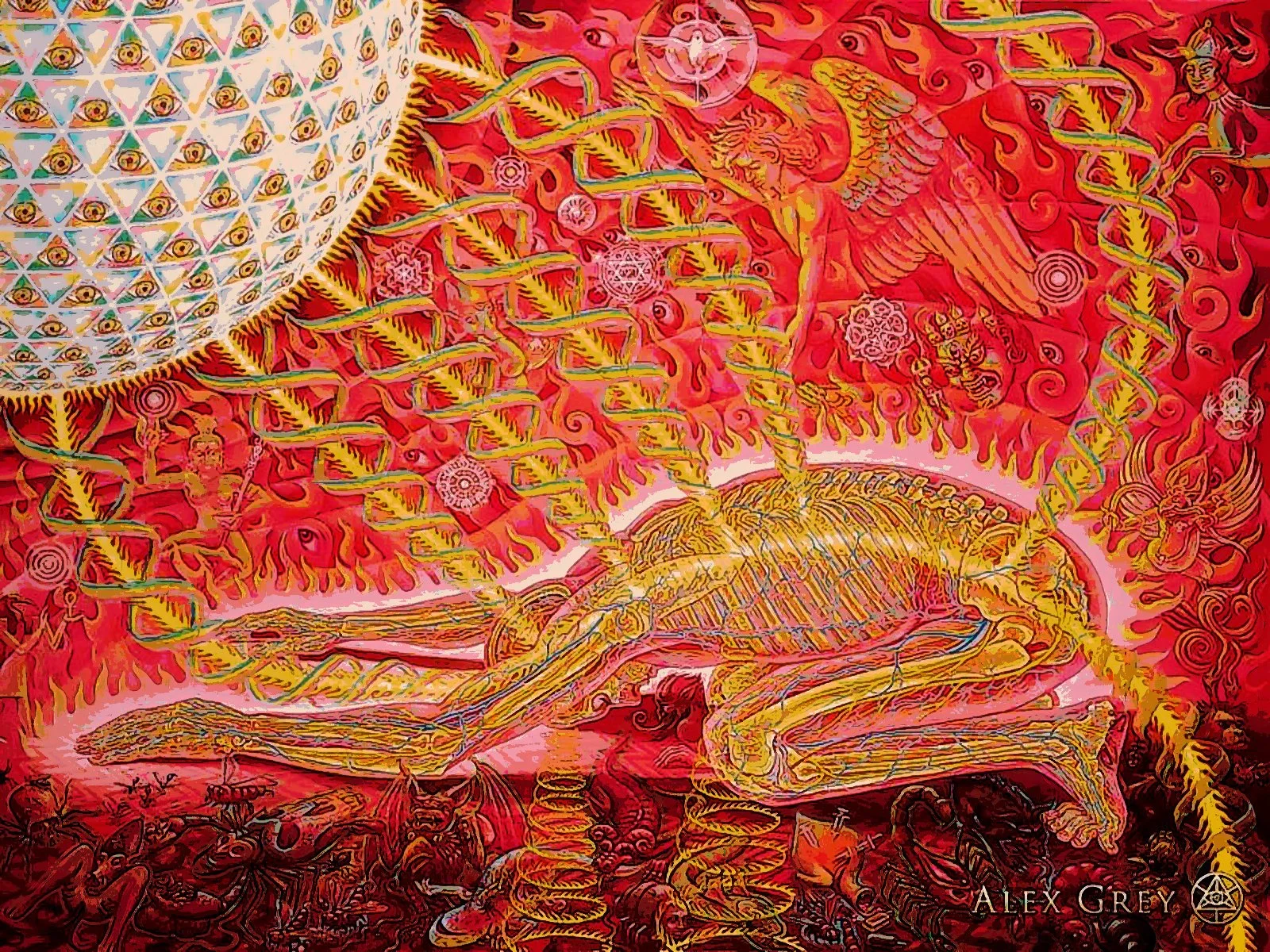 La transe de l'ayahuasca