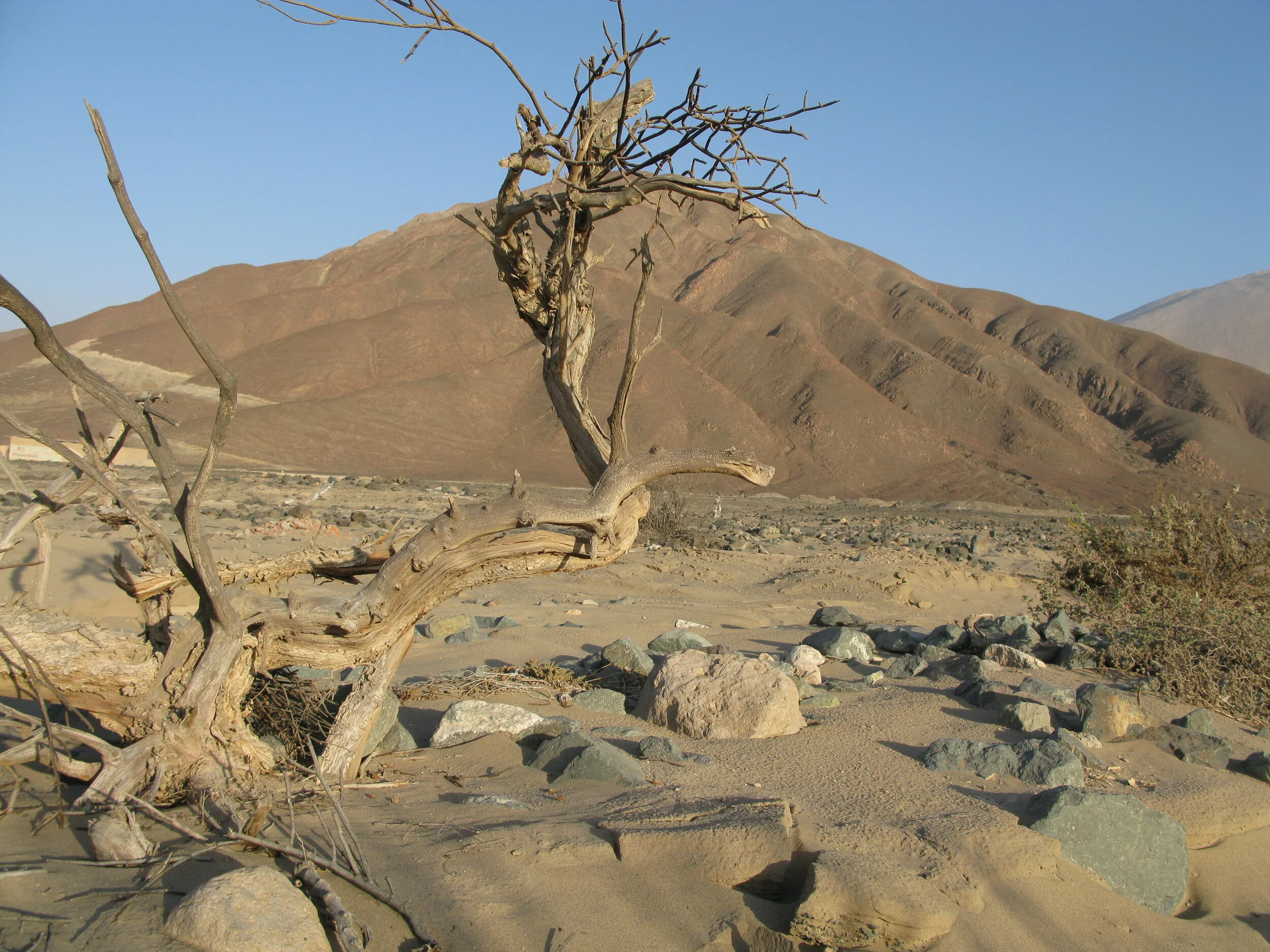 L’envoûtant désert de Nazca, au Pérou. Un lieu aux vibrations mystiques.