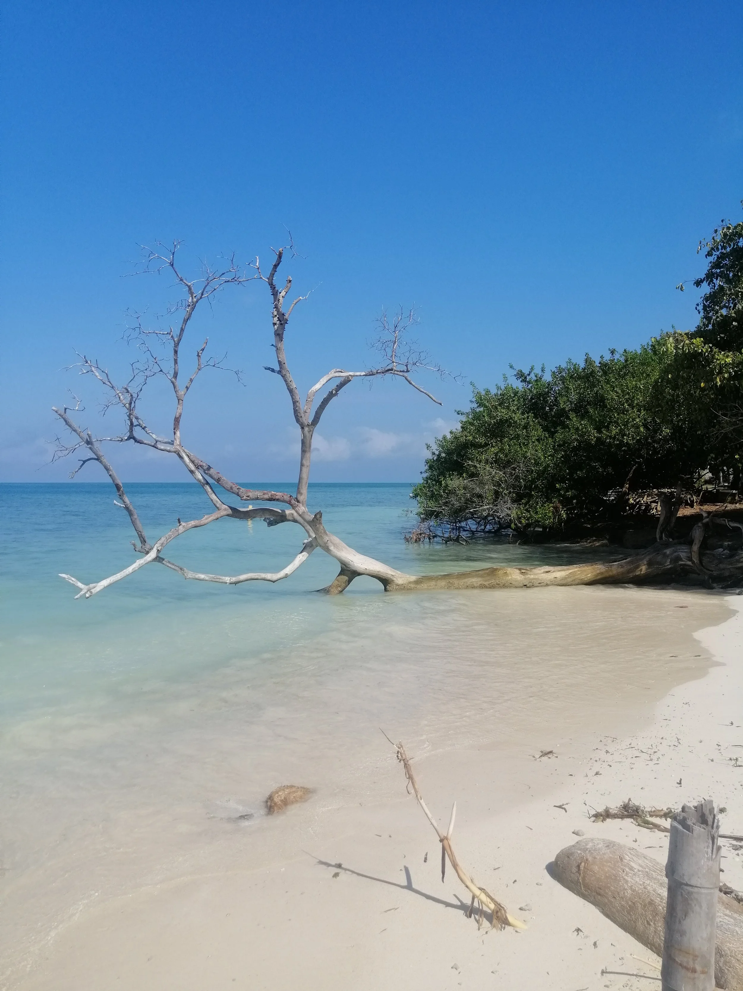 Ile Mucura, Colombie