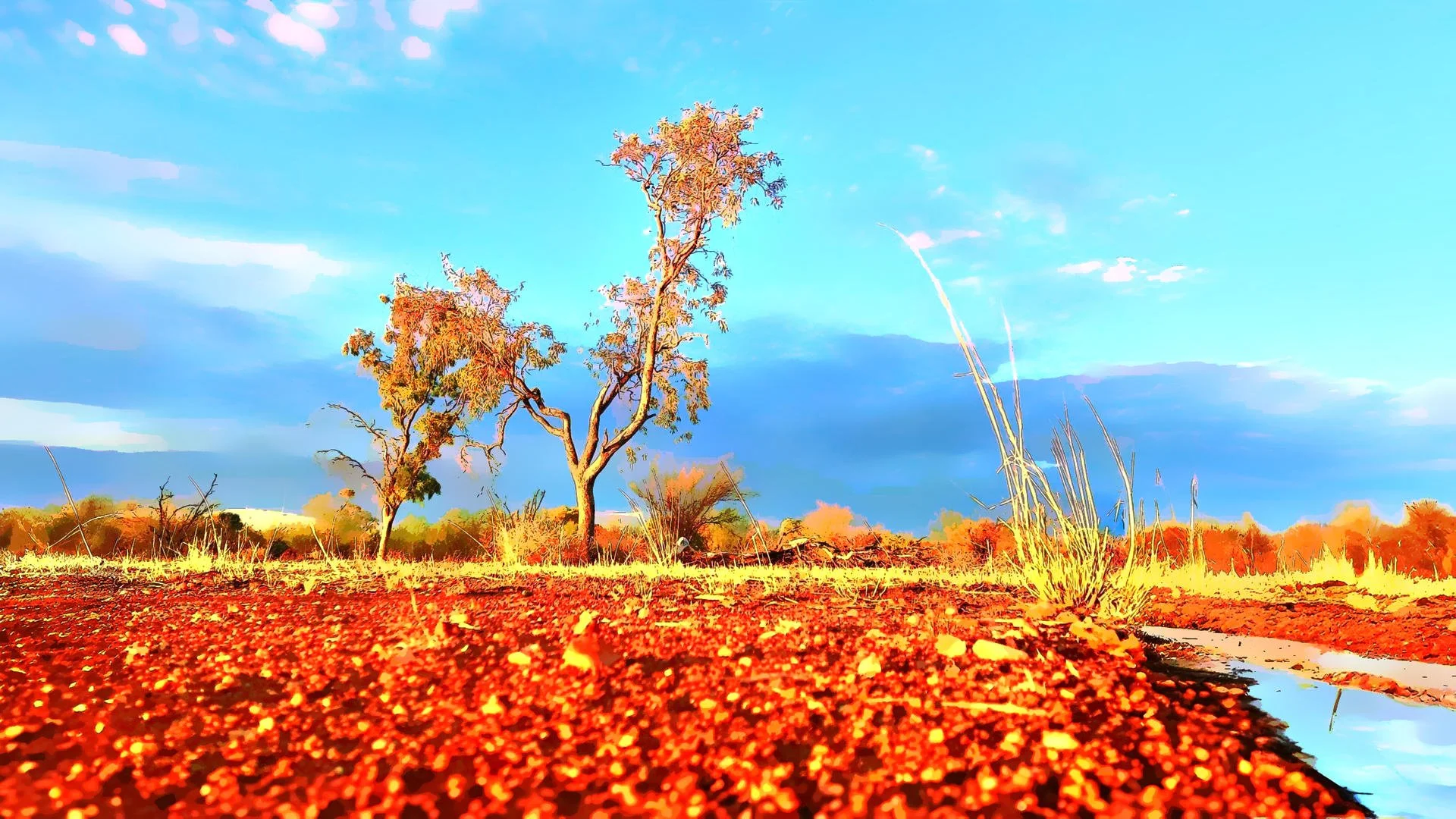 Aborigènes : A la rencontre du Temps du Rêve avec Vanessa Escalante