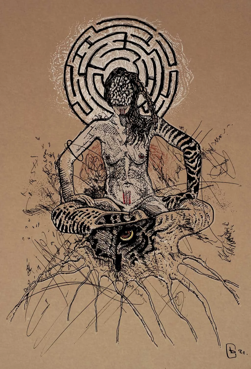 Ayahuasca et Transcendance