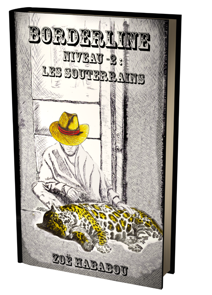 Borderline, tome 1
