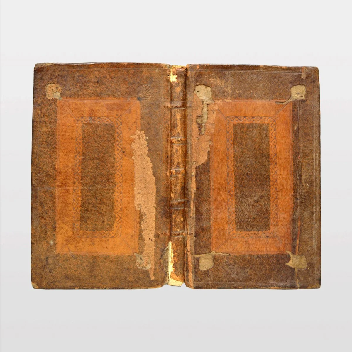 ebc9339[WEB1].jpg