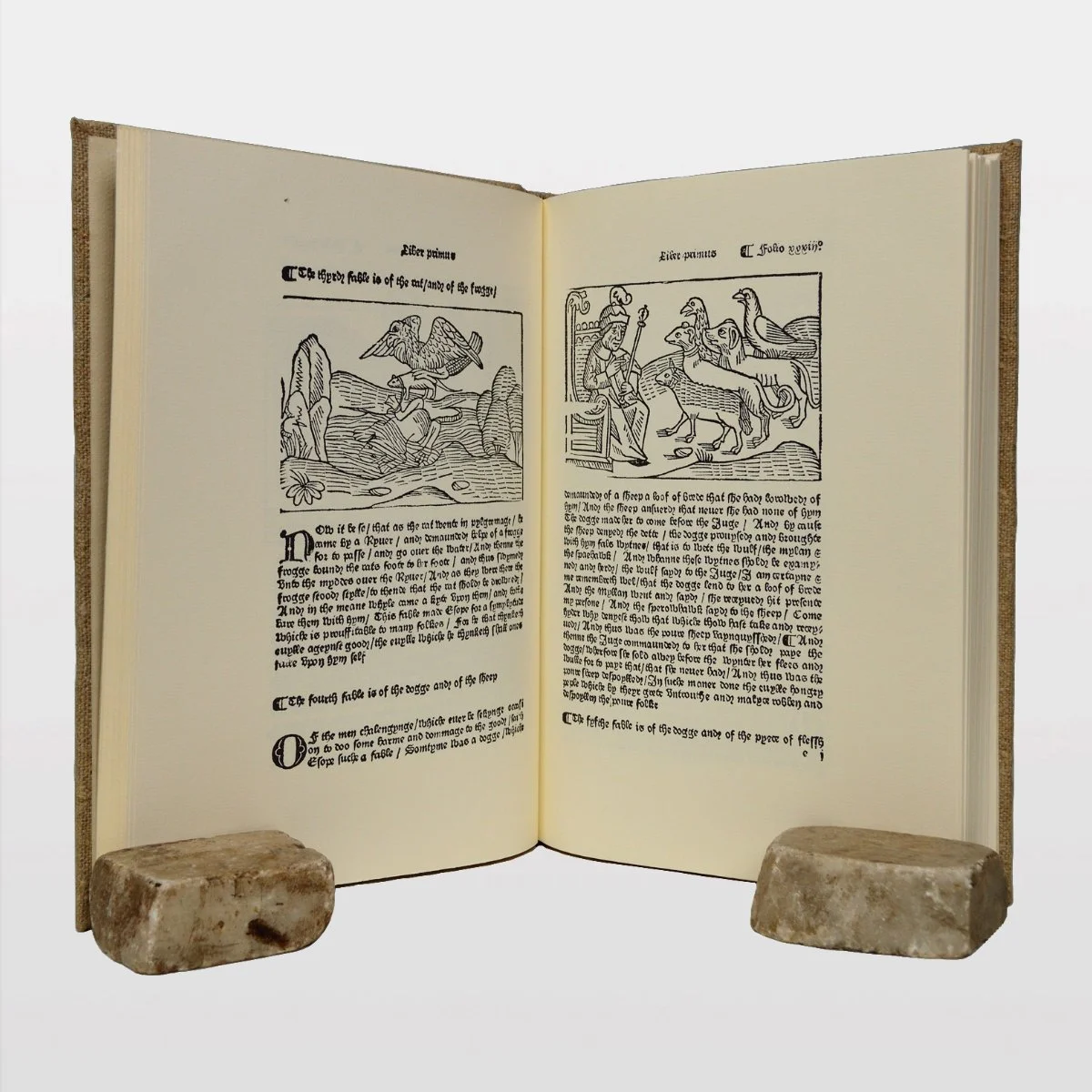 ebc9144 [WEB2].jpg