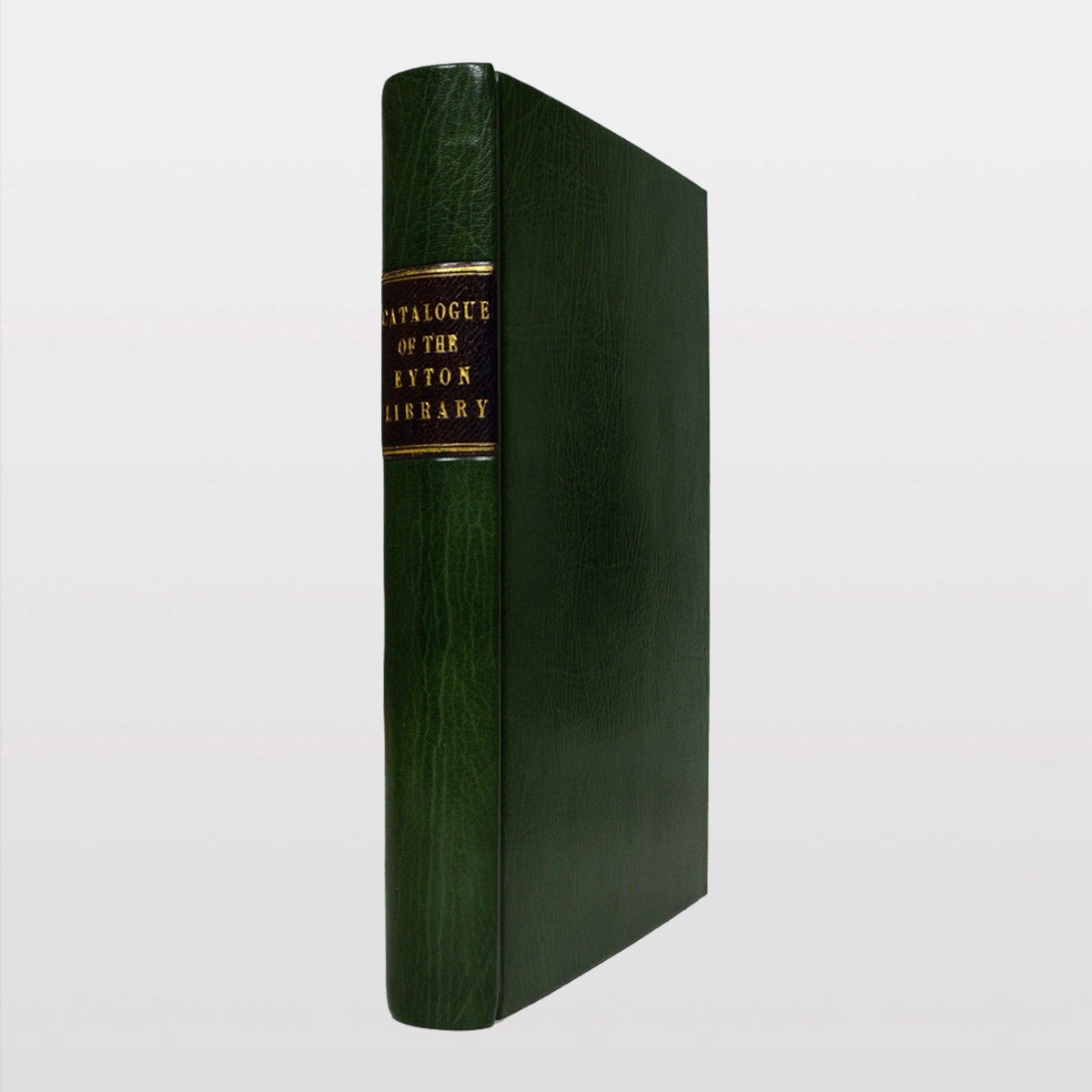 ebc9119-[WEB1].jpg