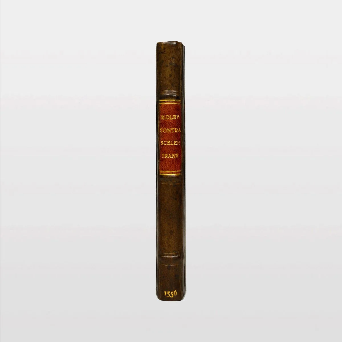 ebc9206-[WEB1].jpg