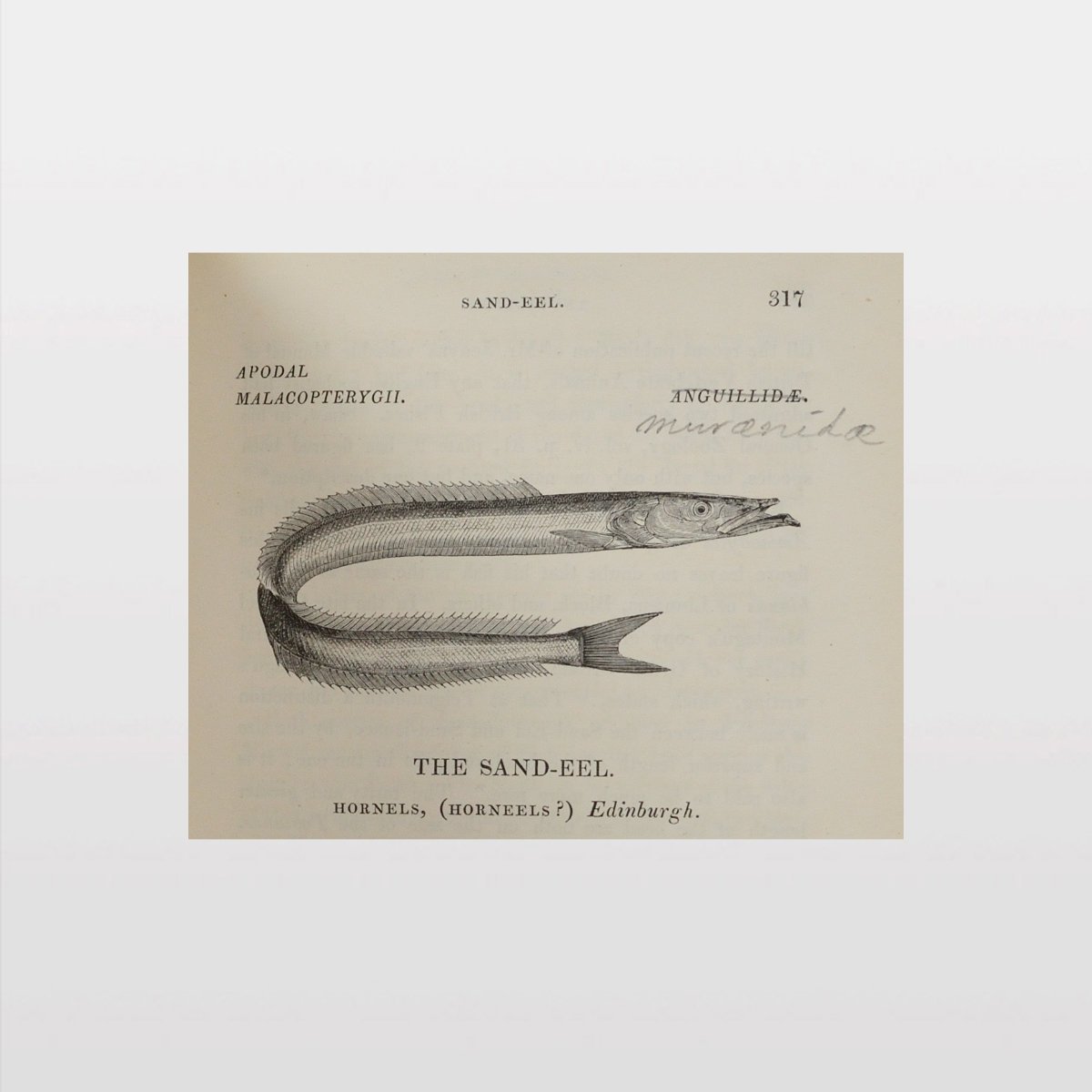 ebc9148 [WEB5].jpg
