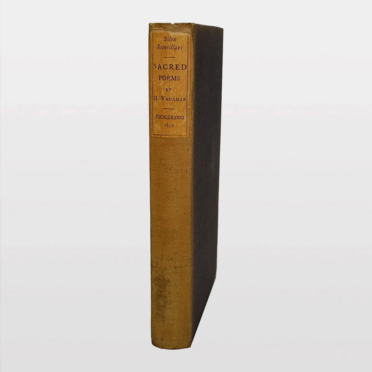 ebc8236[web1].jpg