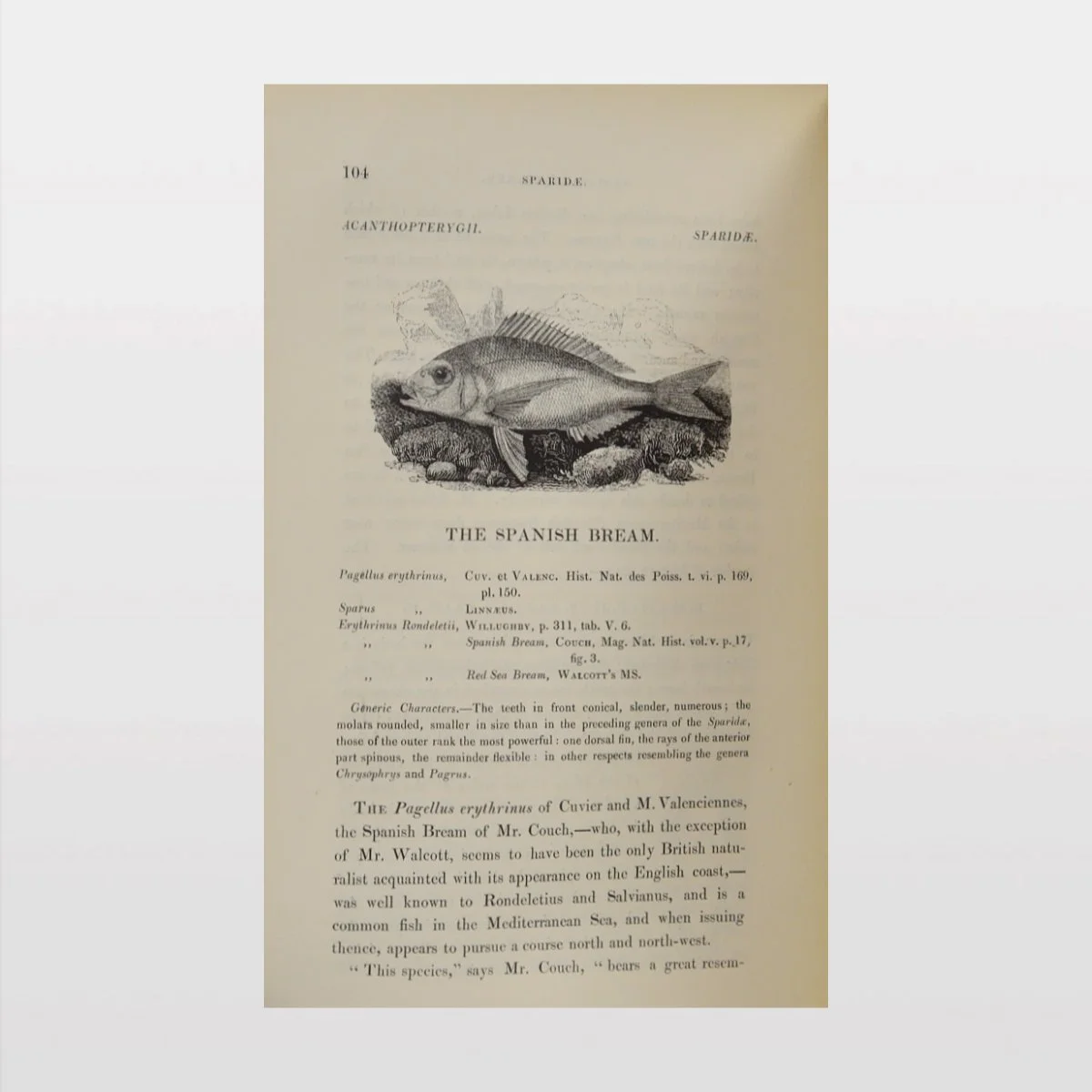 ebc9148 [WEB3] .jpg