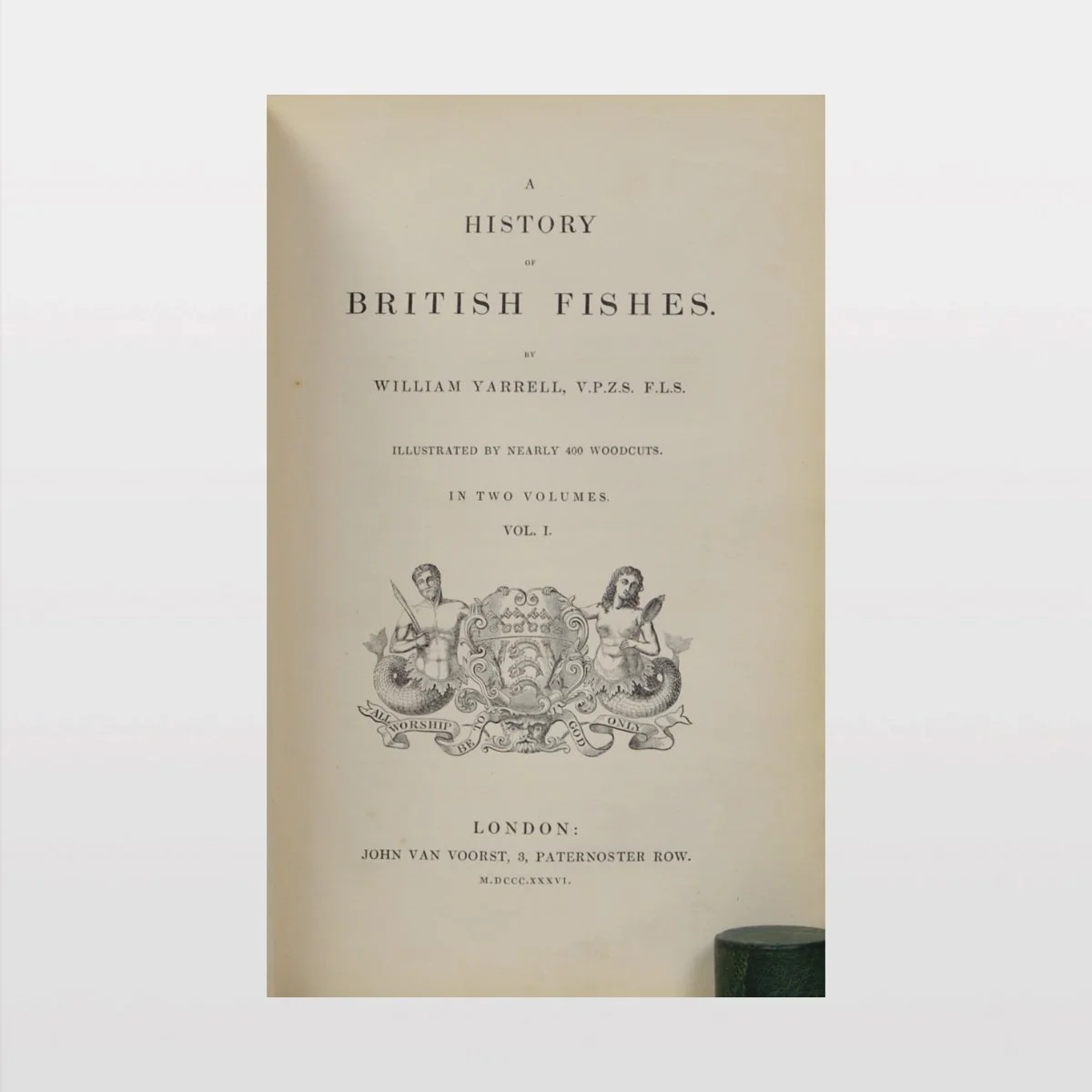 ebc9148 [WEB2].jpg